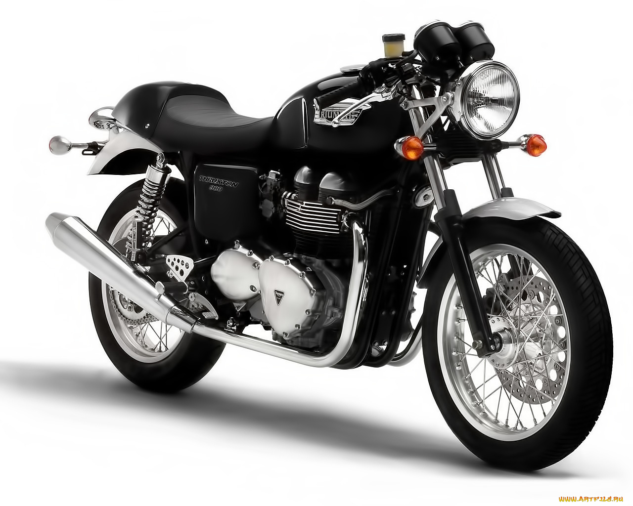 triumph, thruxton, мотоциклы