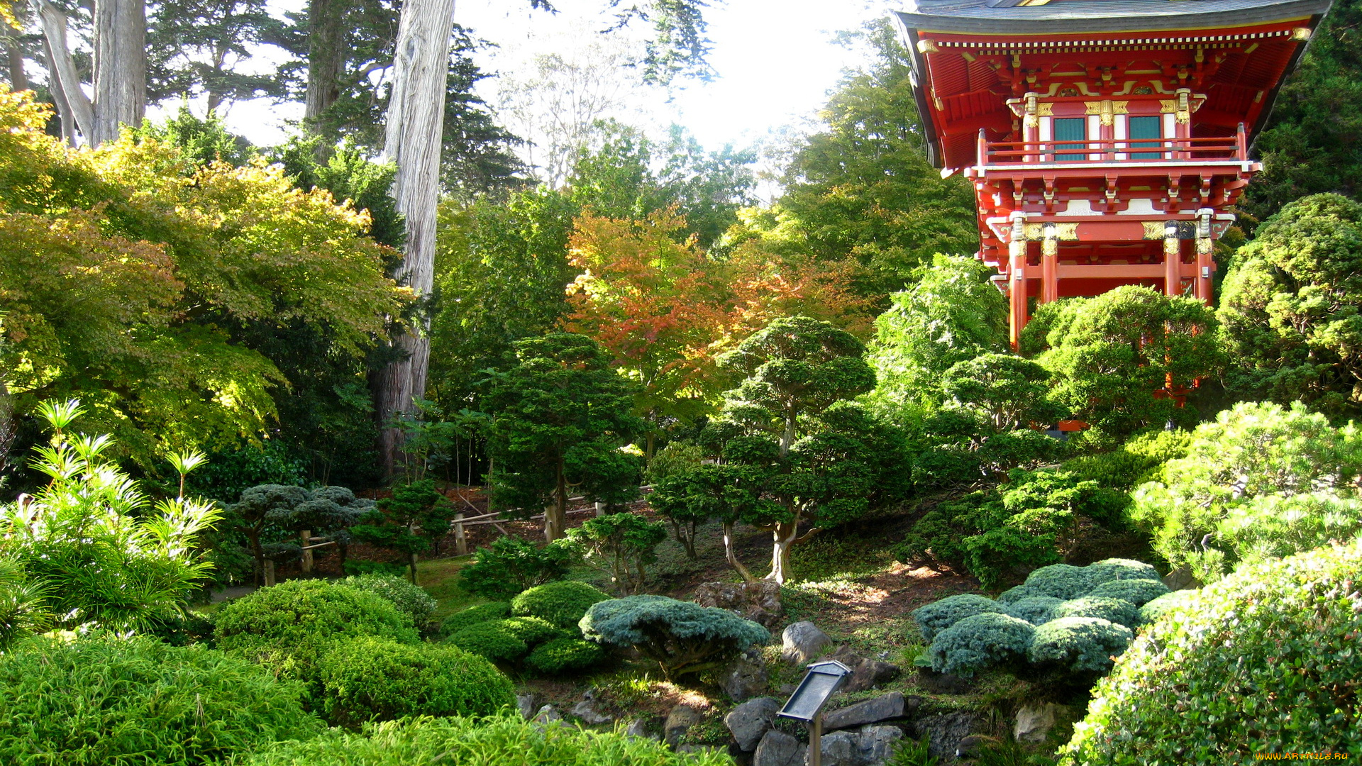 japanese, garden, природа, парк