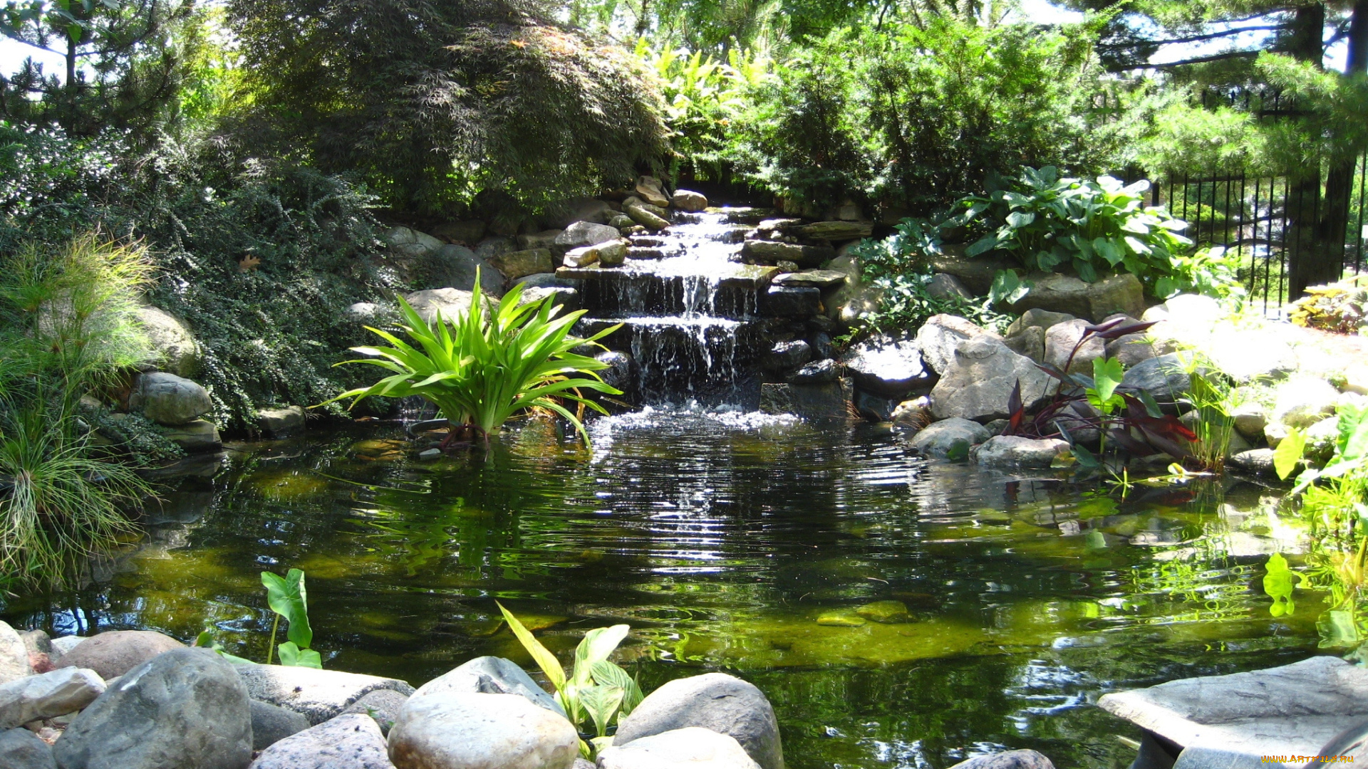 природа, парк, зелень, камни, вода