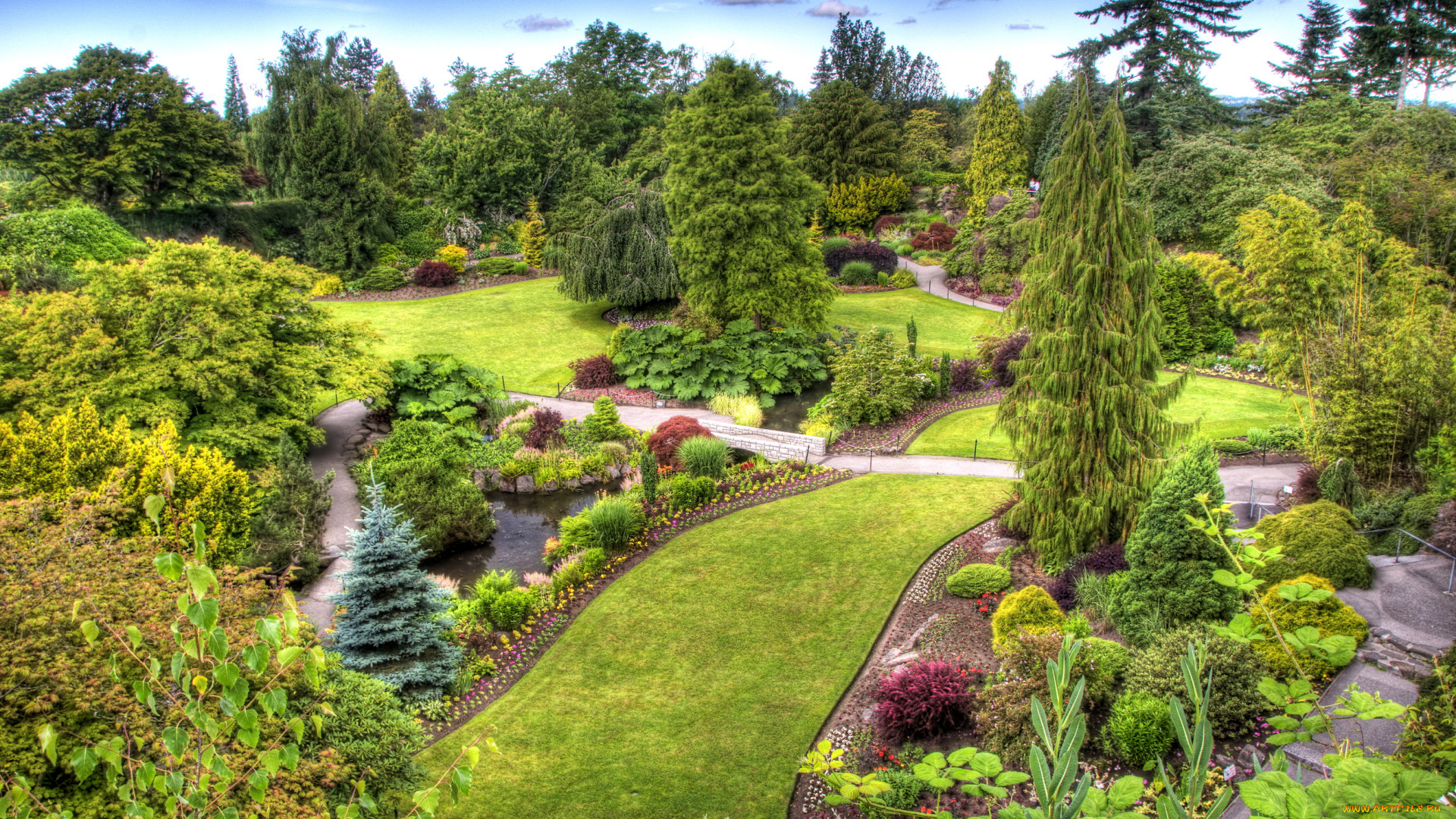 queen, elizabeth, garden, природа, парк, канада, vancouver