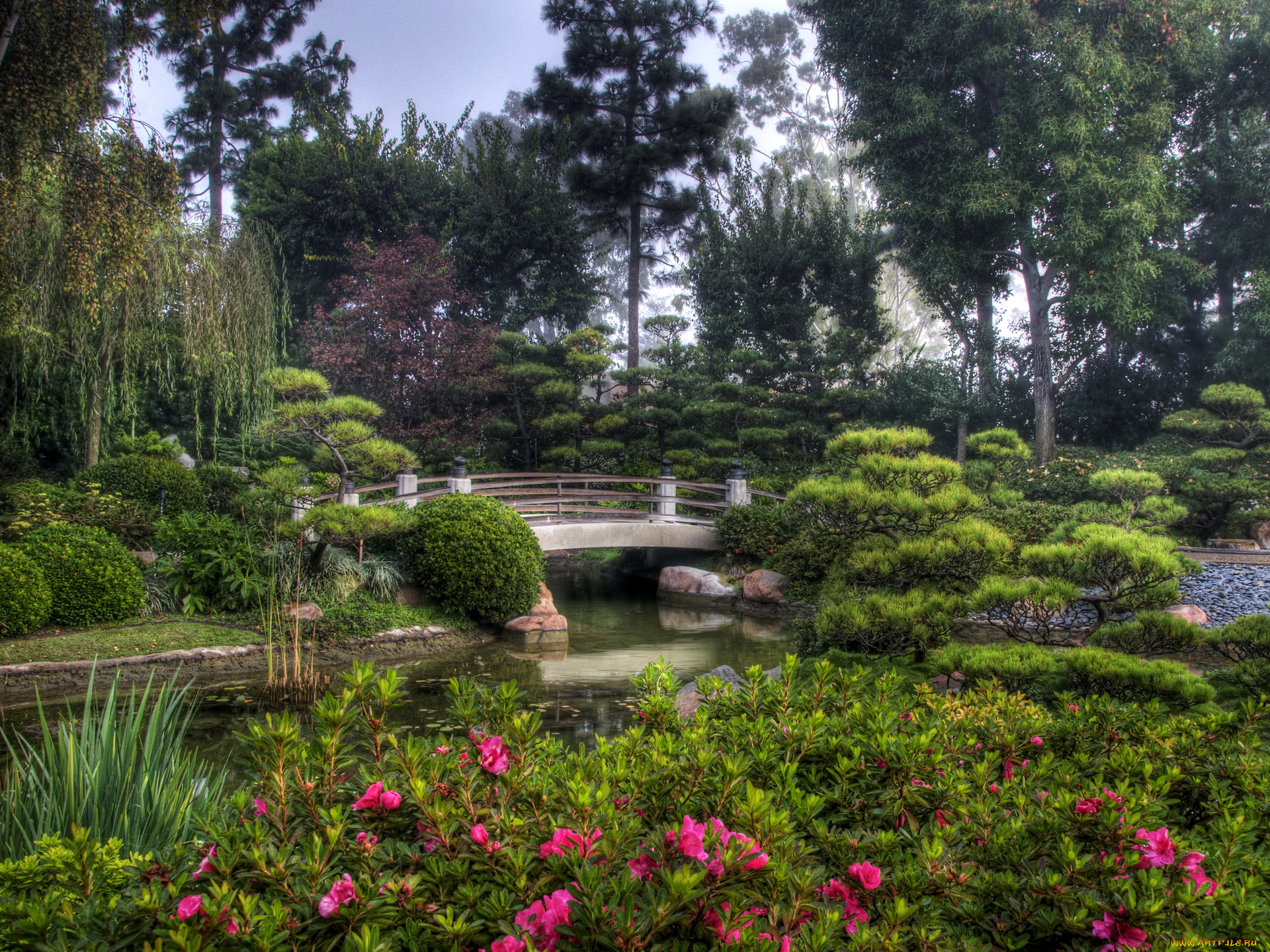 earl, burns, miller, japanese, garden, california, usa, природа, парк, вода, мостик, цветы, деревья