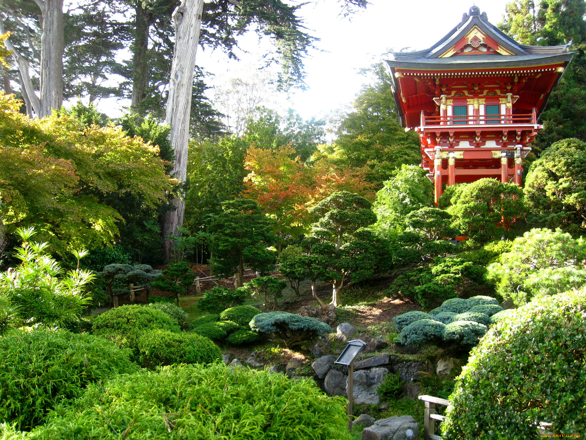 japanese, garden, природа, парк