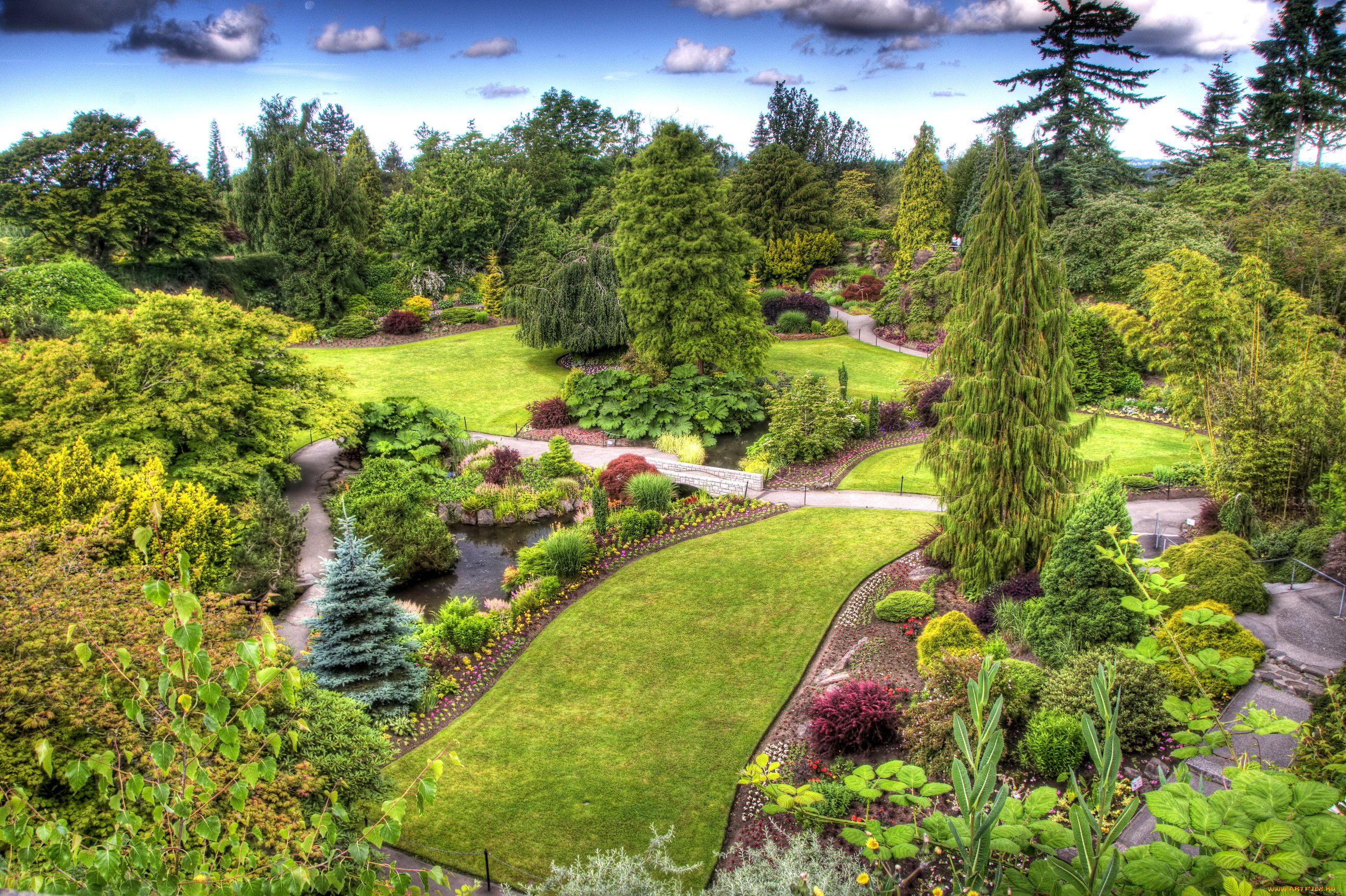 queen, elizabeth, garden, природа, парк, канада, vancouver