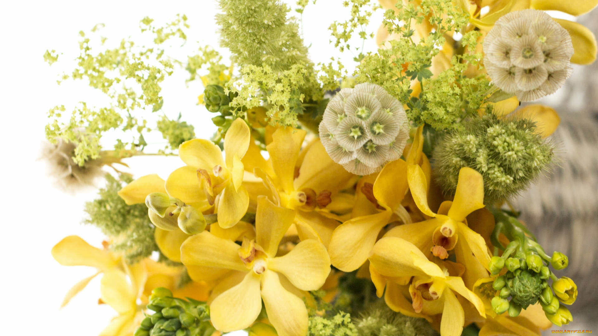 цветы, букеты, композиции, настроение, желтый, орхидеи