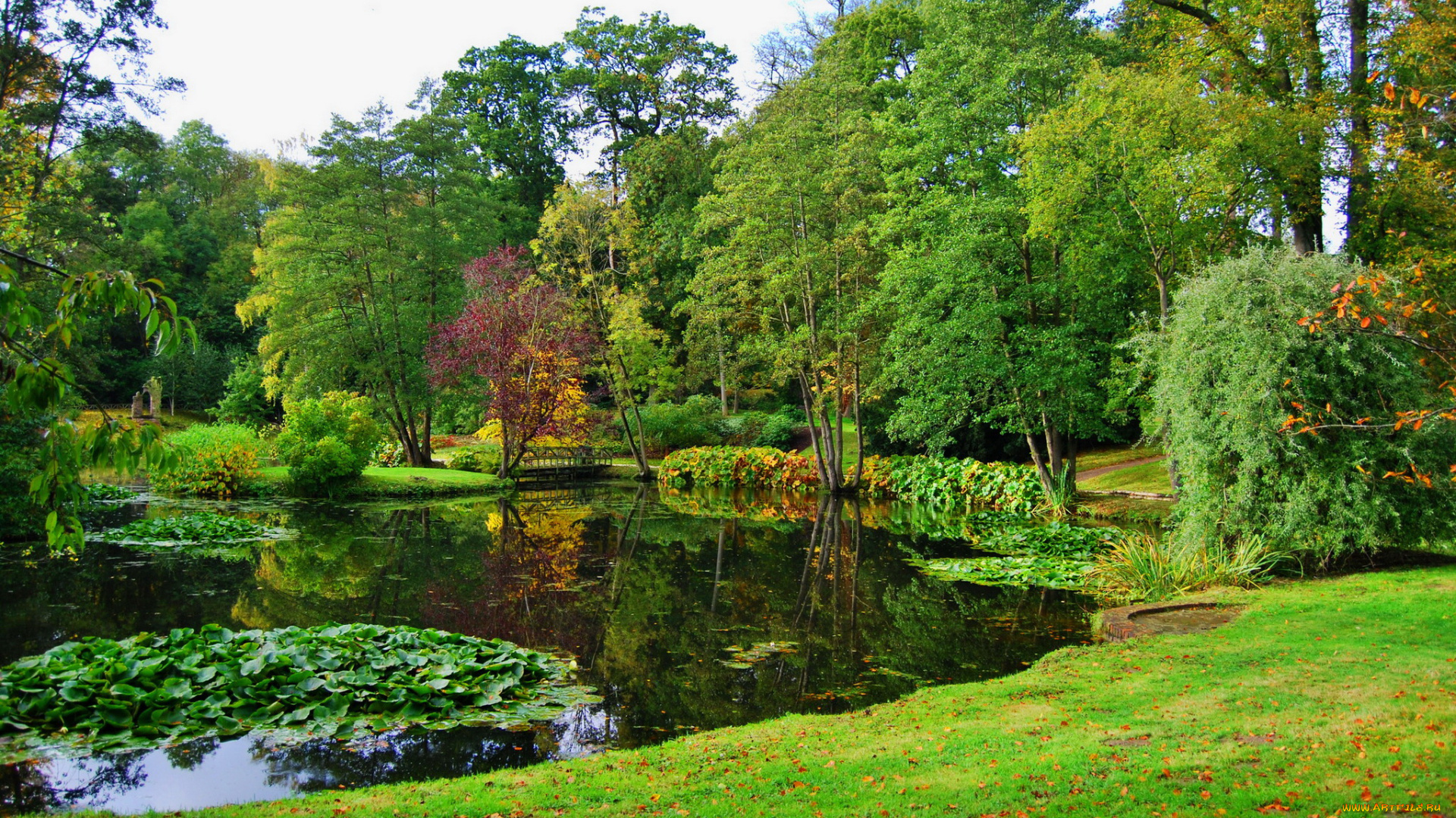 cholmondeley, england, природа, парк, англия, пруд, деревья, трава