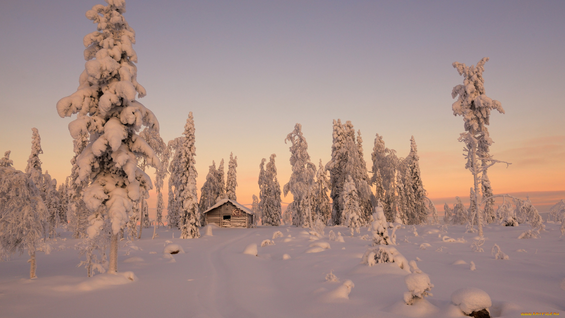 природа, зима, деревья, ели, домик, снег