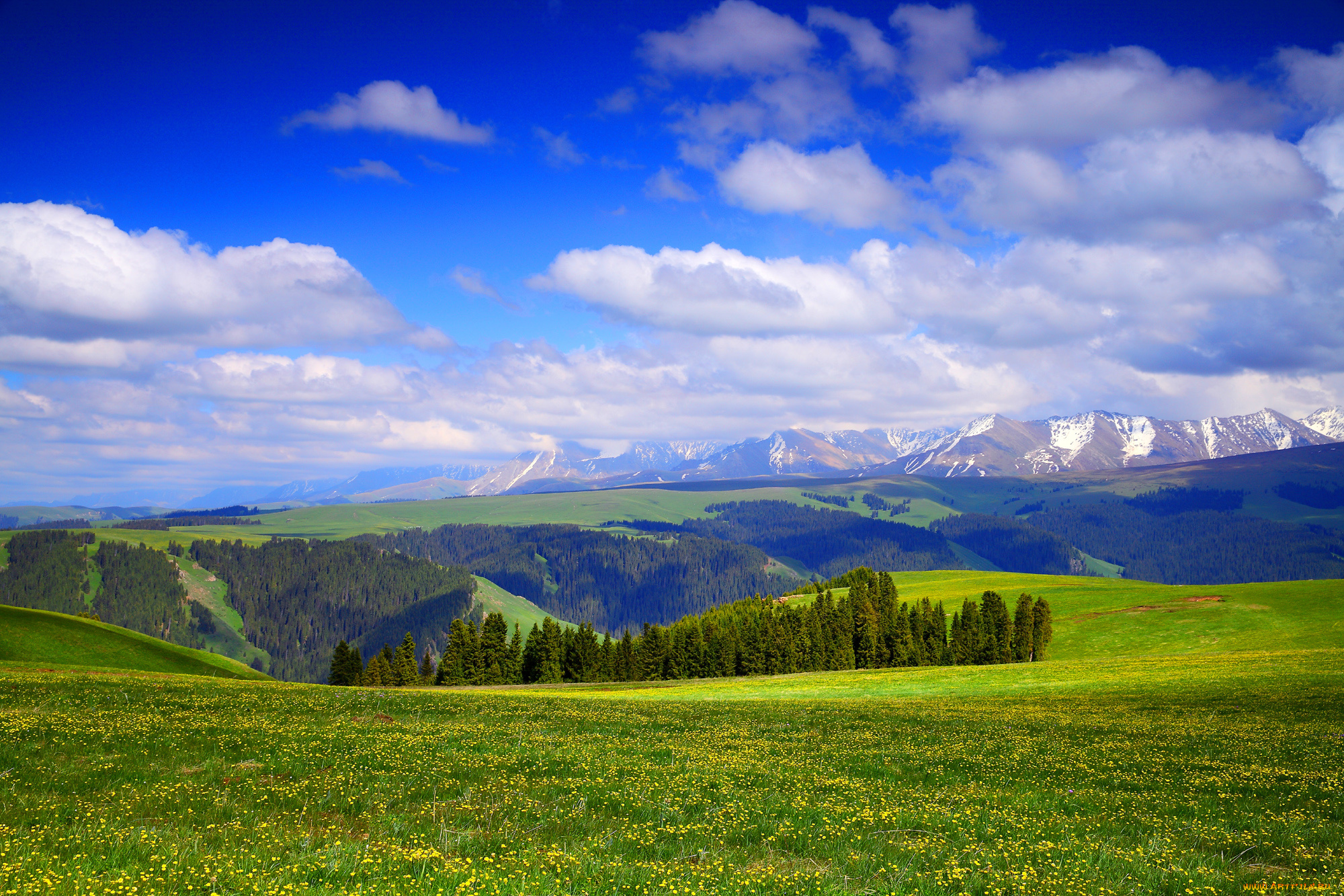 Пол горы. Панорама поле горы. Панорама природы поле с горами. Природа горное поле панорама. Панорама поле горы лес.