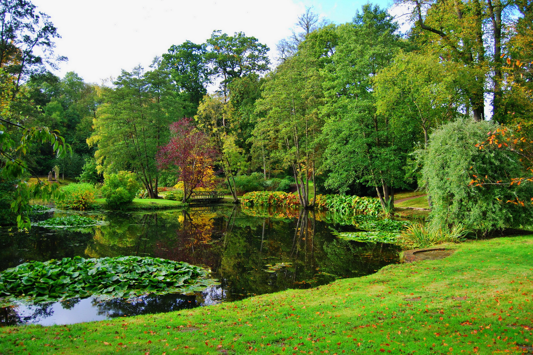 cholmondeley, england, природа, парк, англия, пруд, деревья, трава