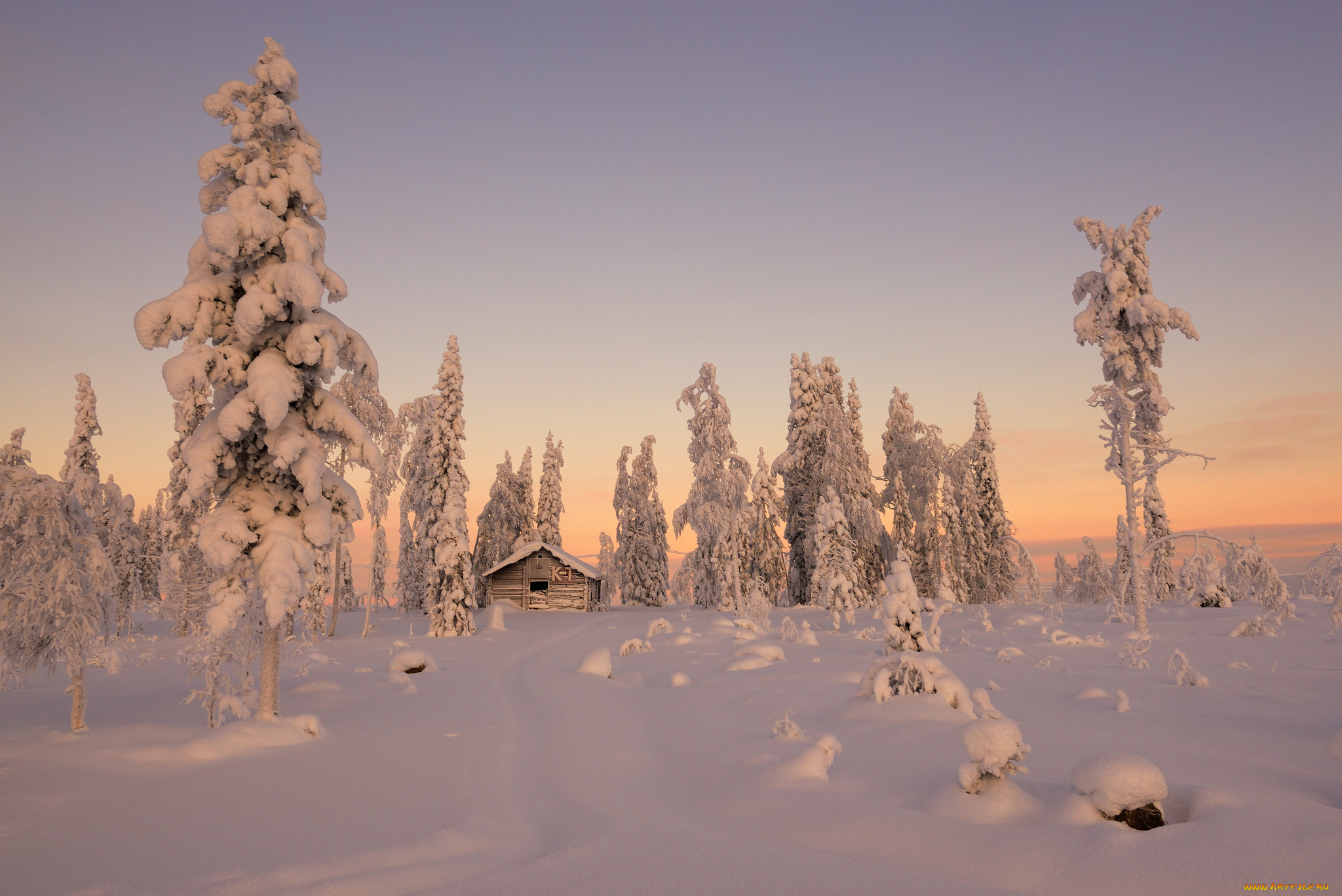 природа, зима, деревья, ели, домик, снег