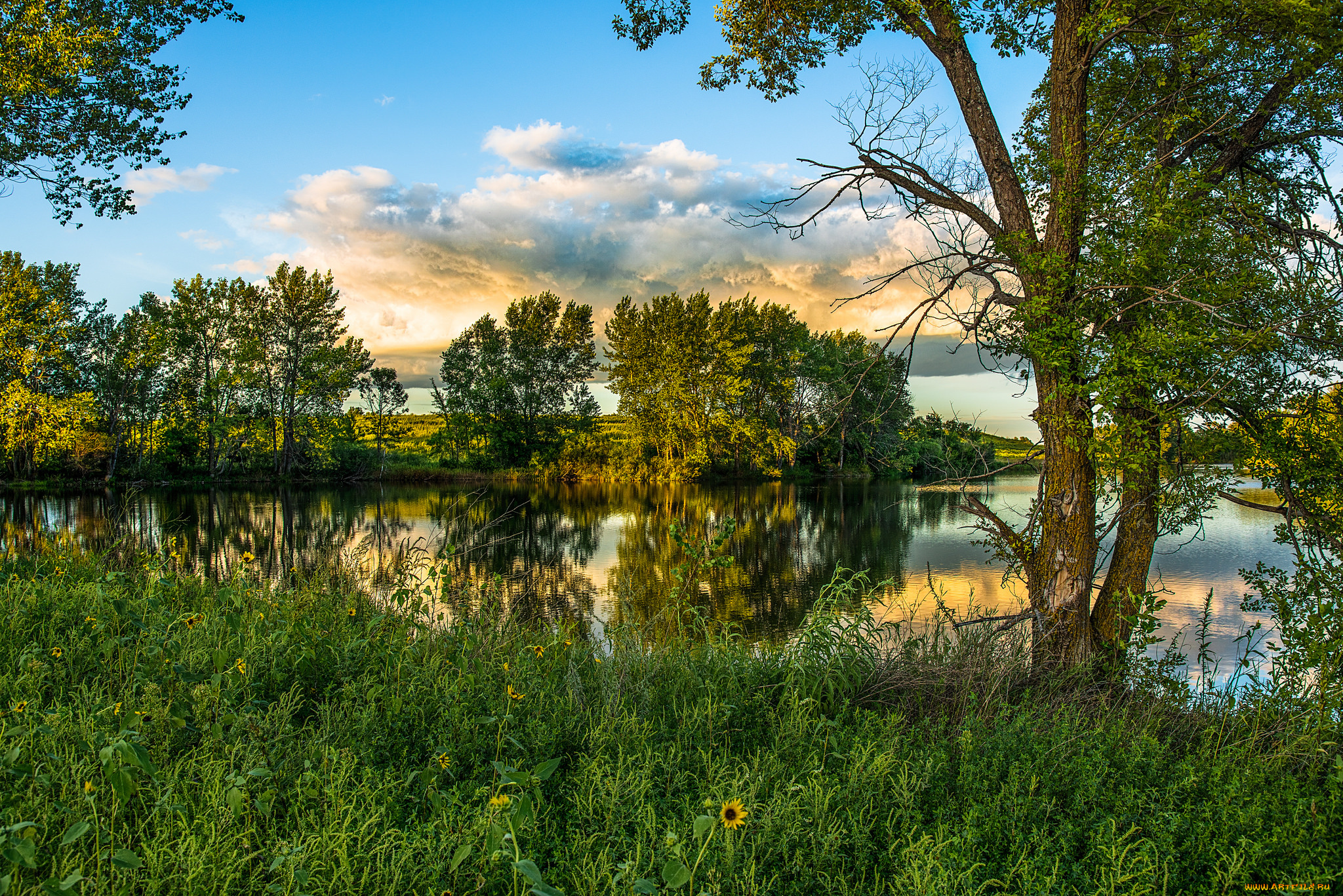 природа, реки, озера, река, лес