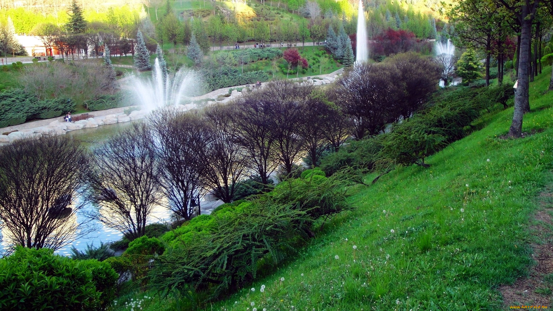 природа, парк, фонтаны, весна, кусты, трава