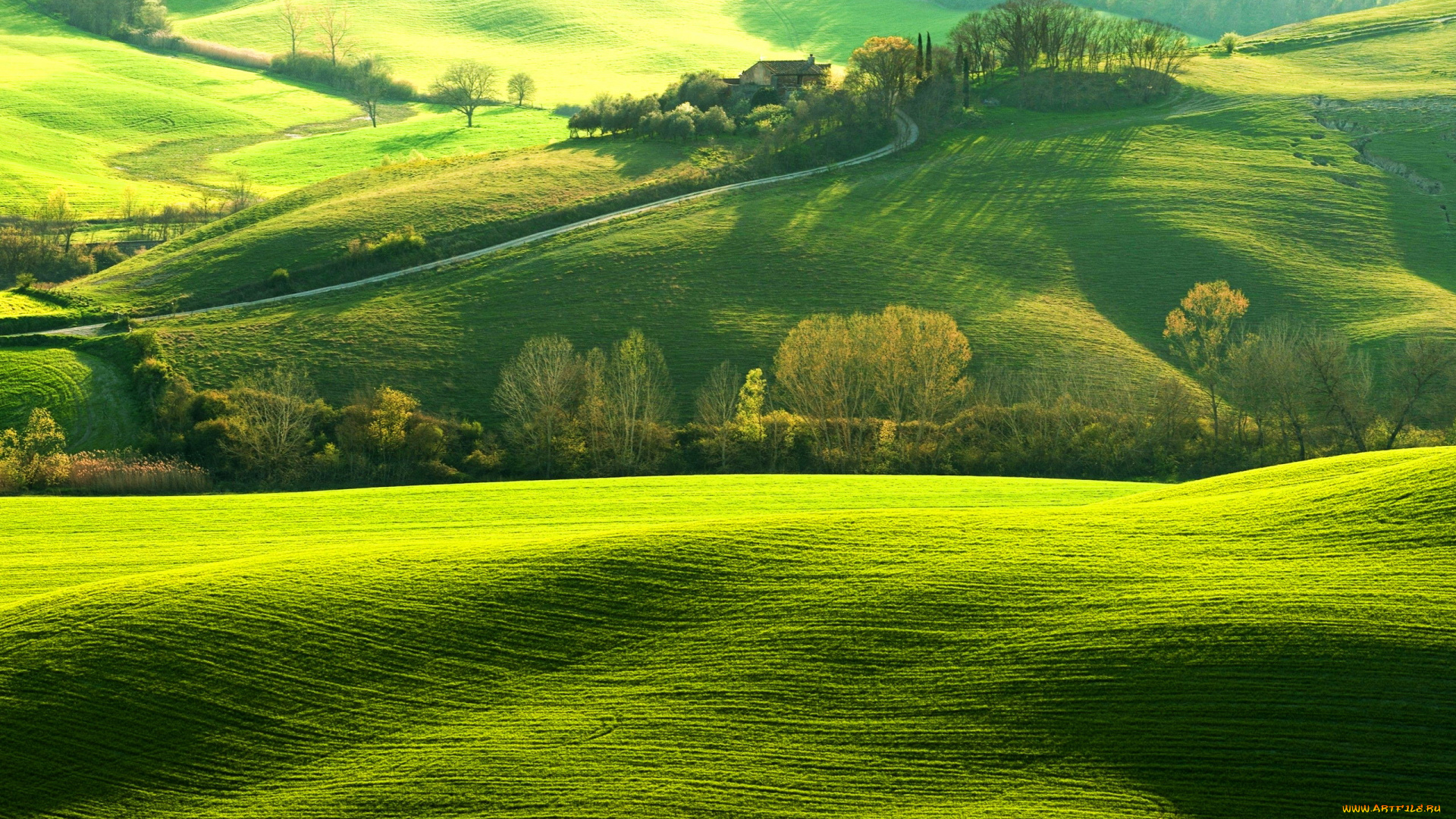 tuscany, italy, природа, луга