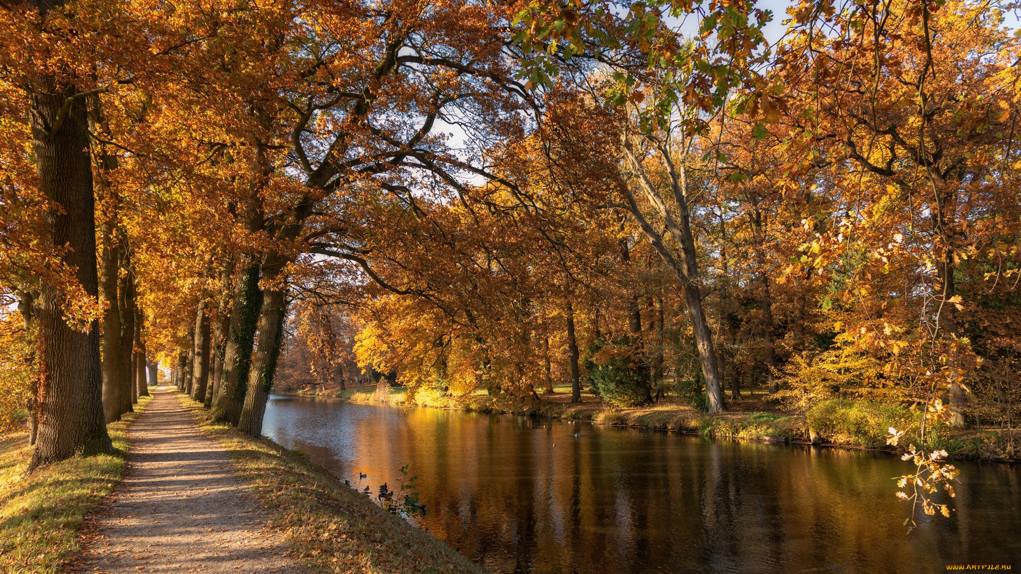 природа, парк, река, аллея, деревья, осень