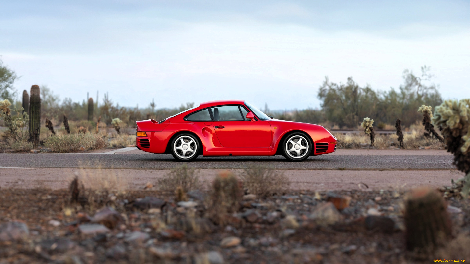 porsche, 959, автомобили, porsche, красный, горы, деревья, кактусы