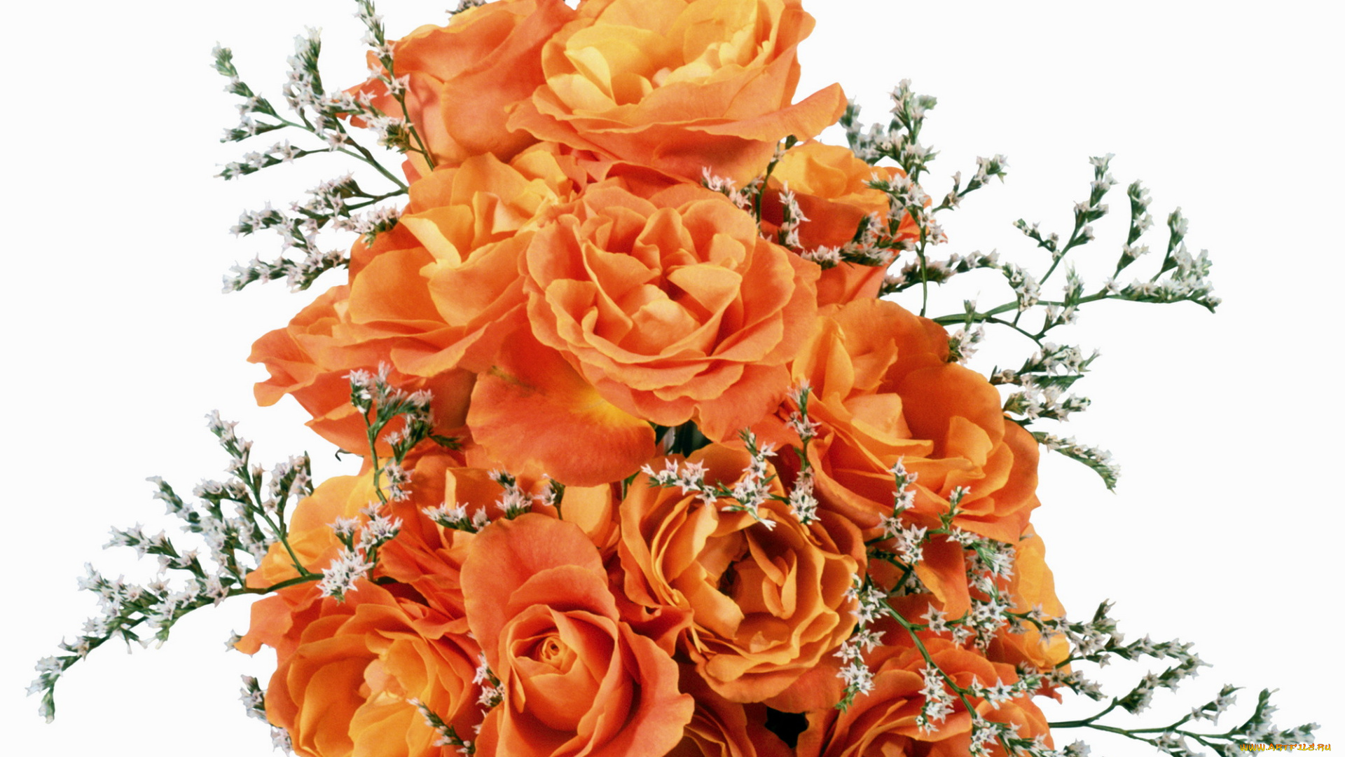 цветы, букеты, композиции, розы, букет, оранжевые