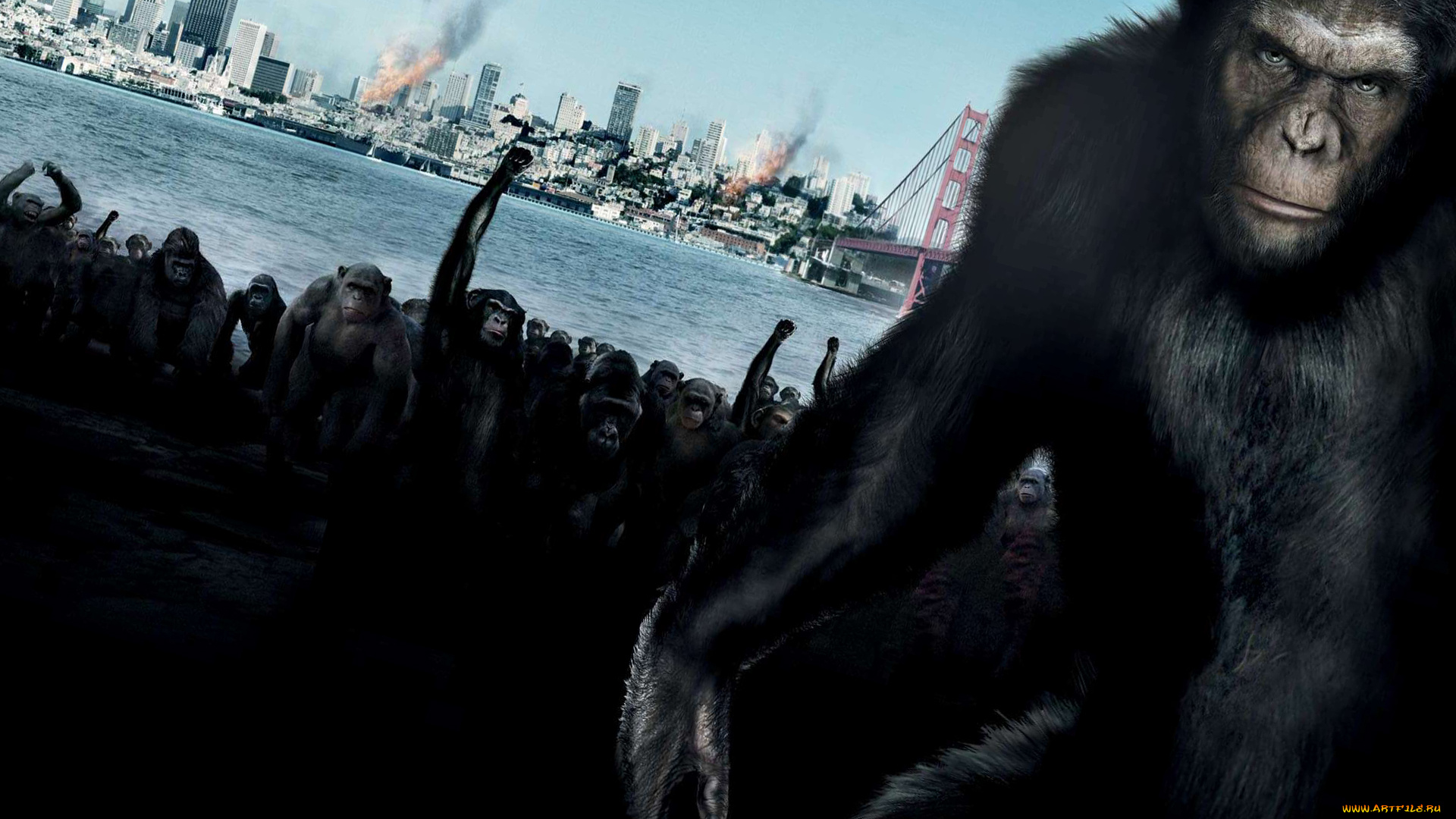 восстание, планеты, обезьян, кино, фильмы, rise, of, the, planet, apes, обезьяны, город, вожак