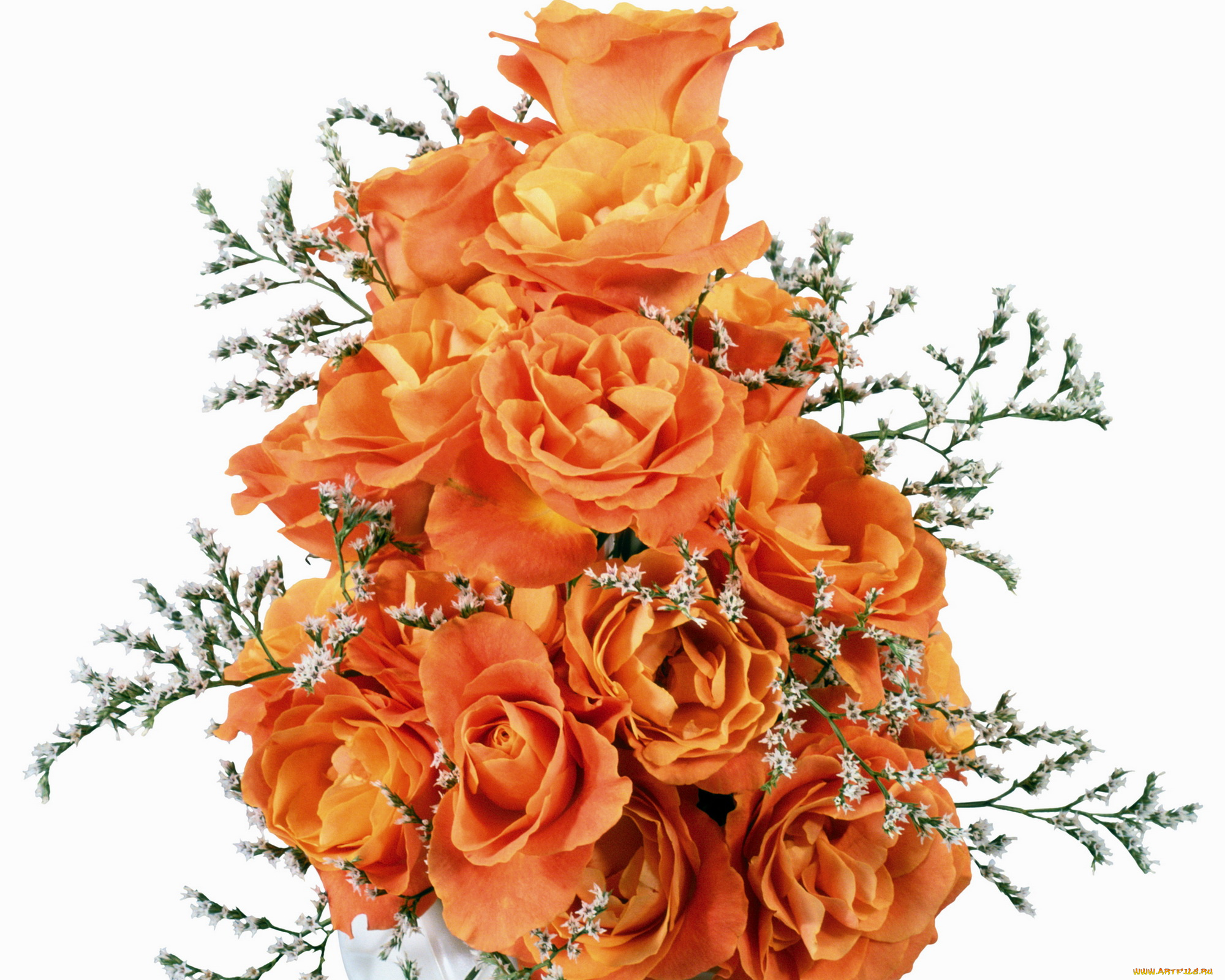 цветы, букеты, композиции, розы, букет, оранжевые