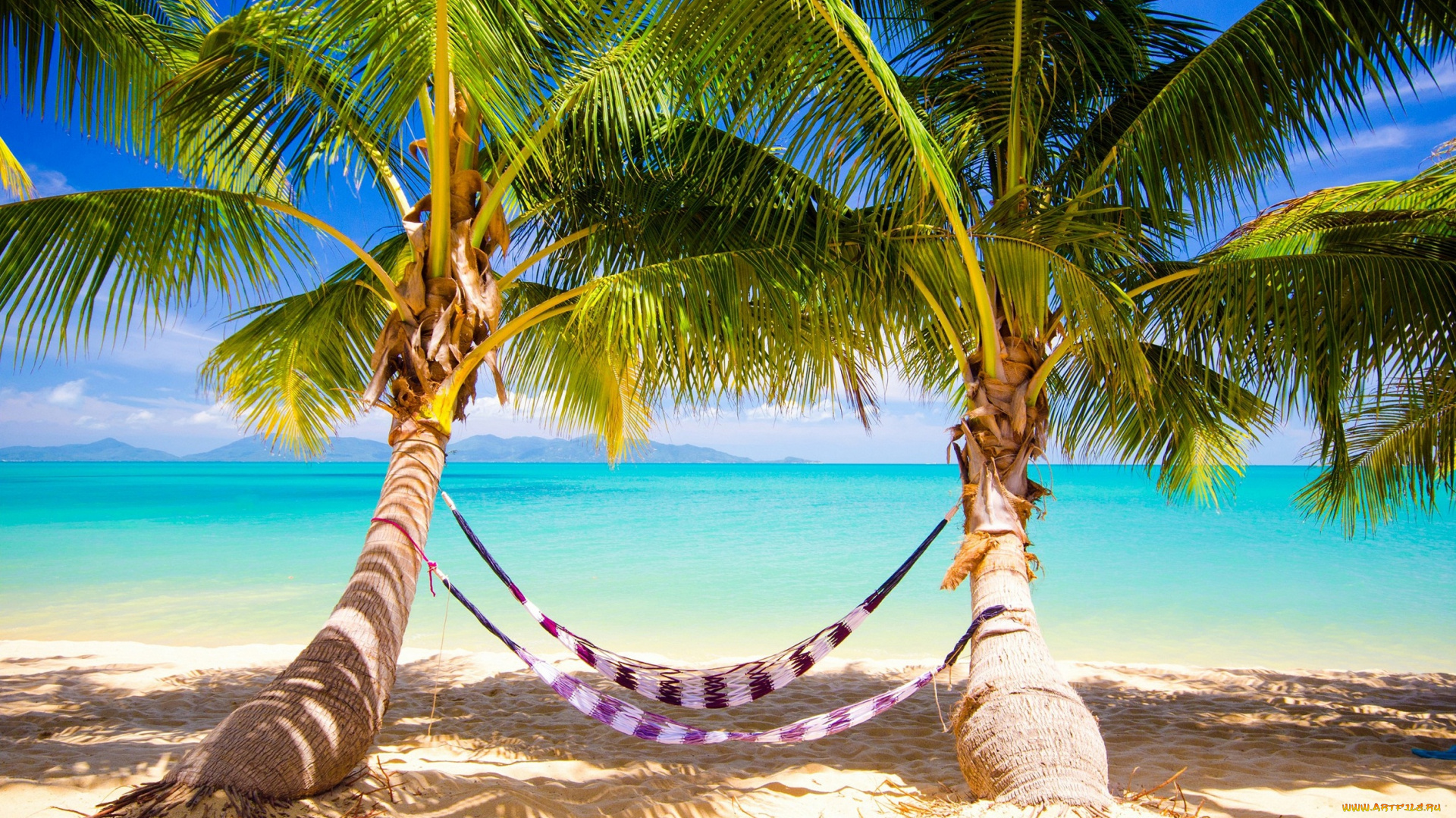 природа, тропики, vacation, sunshine, summer, ocean, sea, palms, beach, берег, песок, пальмы, море, пляж, hammock, tropical, paradise