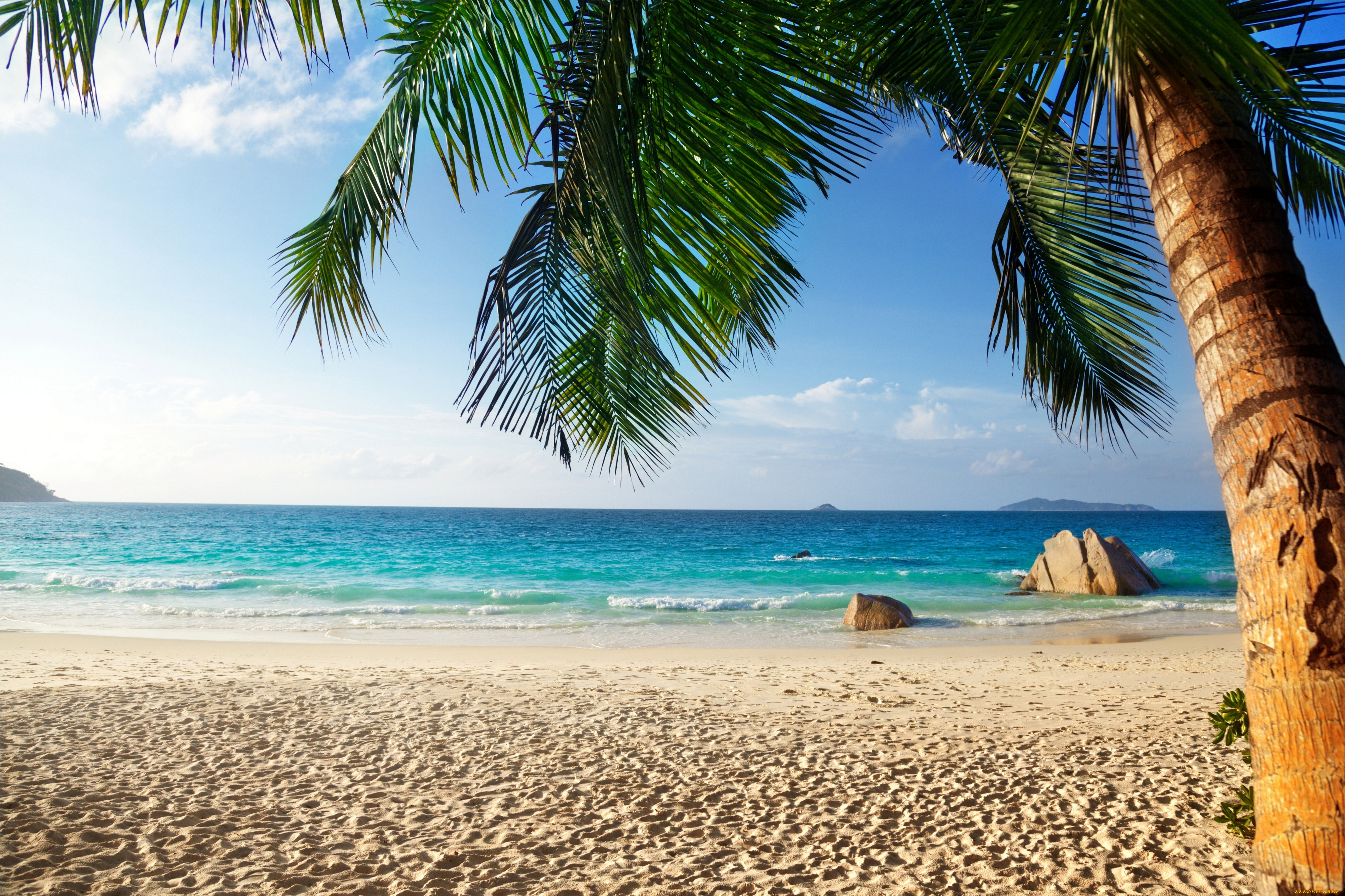 природа, тропики, tropical, paradise, beach, palms, sea, ocean, summer, vacation, пляж, море, пальмы, песок, берег