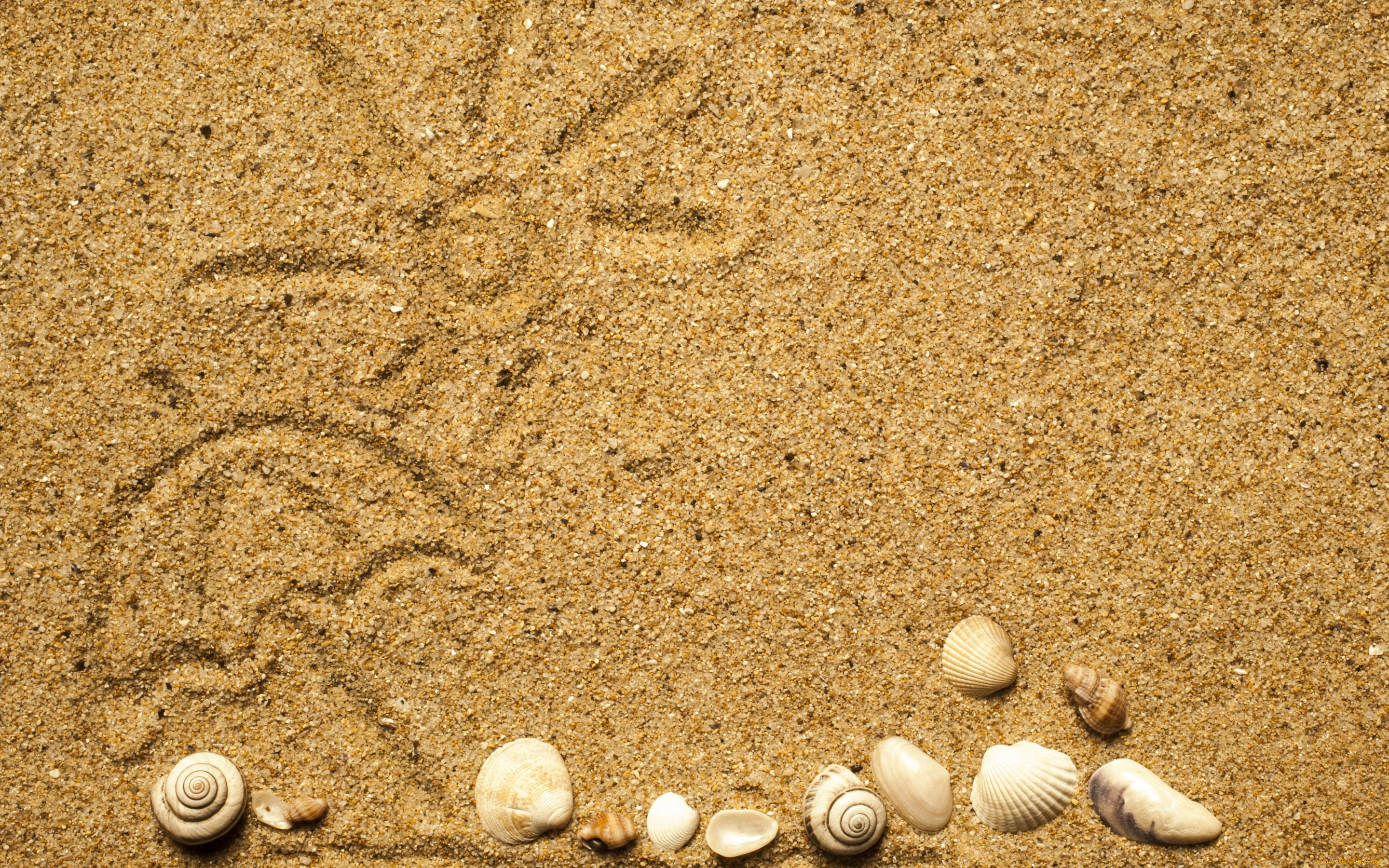разное, ракушки, , кораллы, , декоративные, и, spa-камни, texture, sand, песок, seashells, marine, beach