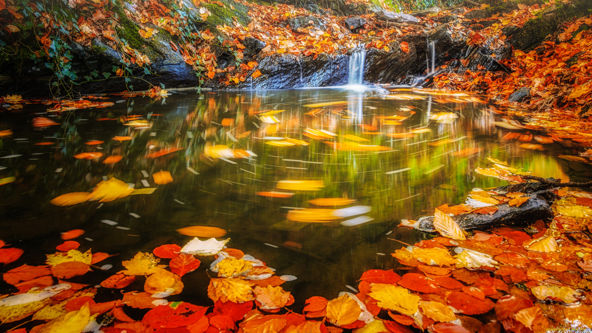 природа, водопады, вода, autumn, water, stream, осень, листья, waterfall, leaves, поток, водопад