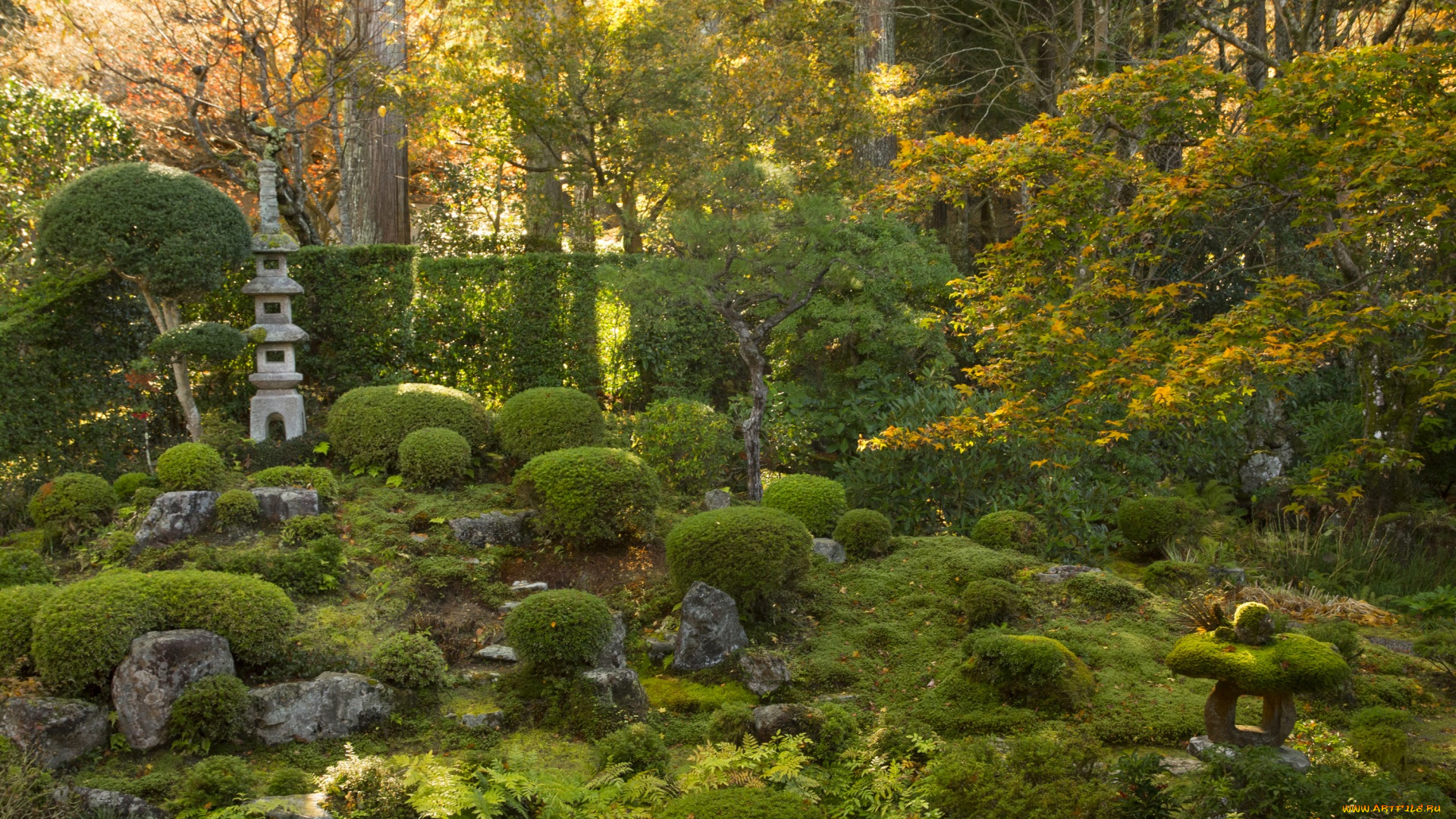 Япония, разное, садовые, и, парковые, скульптуры, растения, парк, деревья