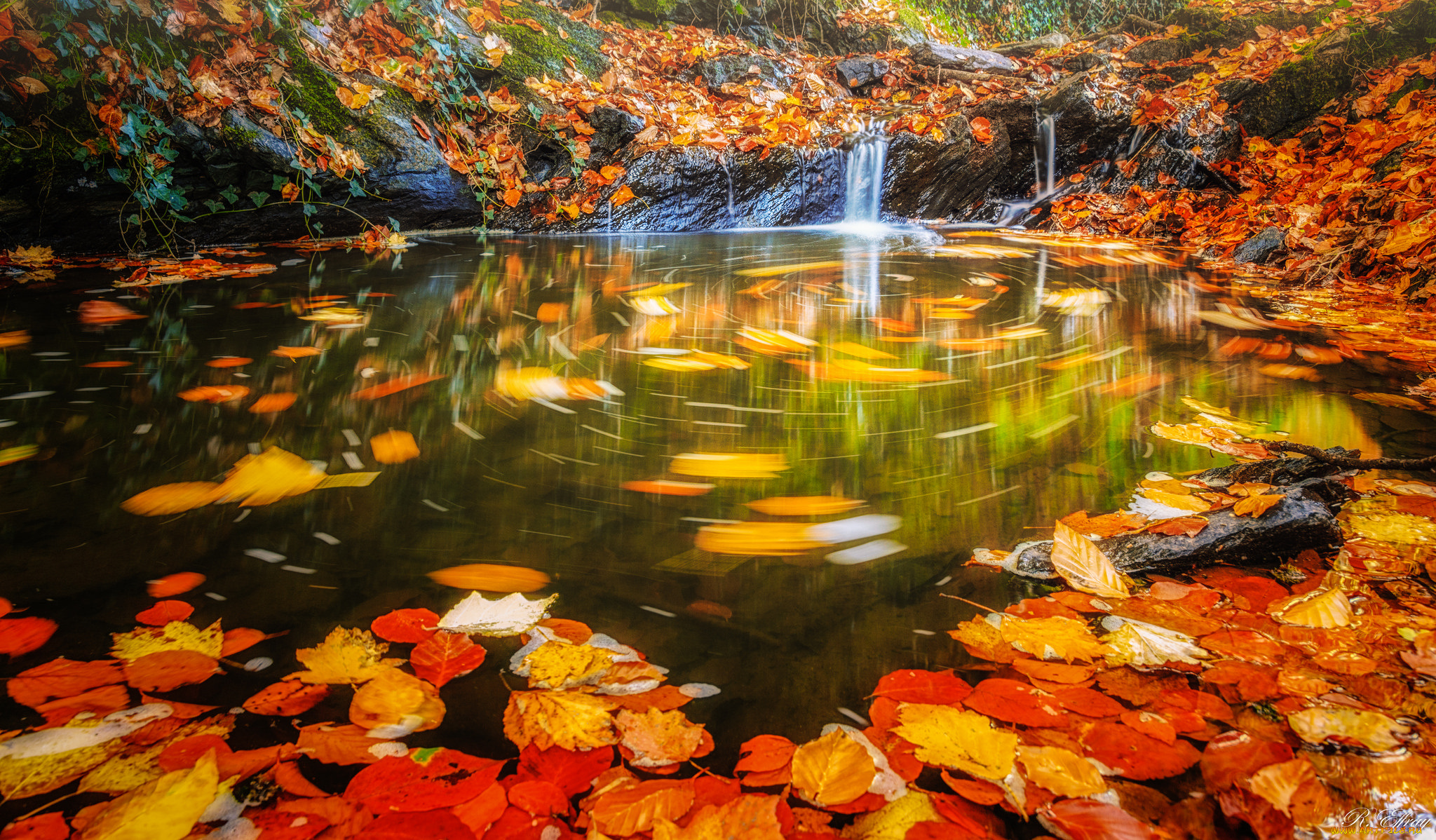 природа, водопады, вода, autumn, water, stream, осень, листья, waterfall, leaves, поток, водопад