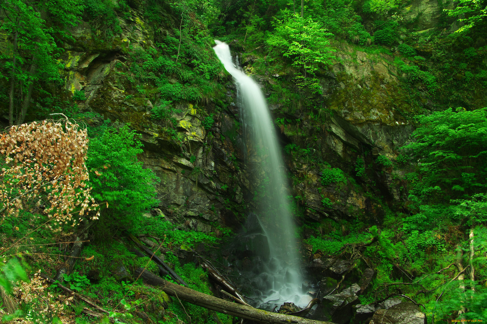 природа, водопады, leaves, water, waterfall, stream, осень, листья, autumn, вода, поток, водопад