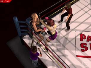 Картинка 3д+графика спорт+ sport взгляд фон ринг бокс девушки