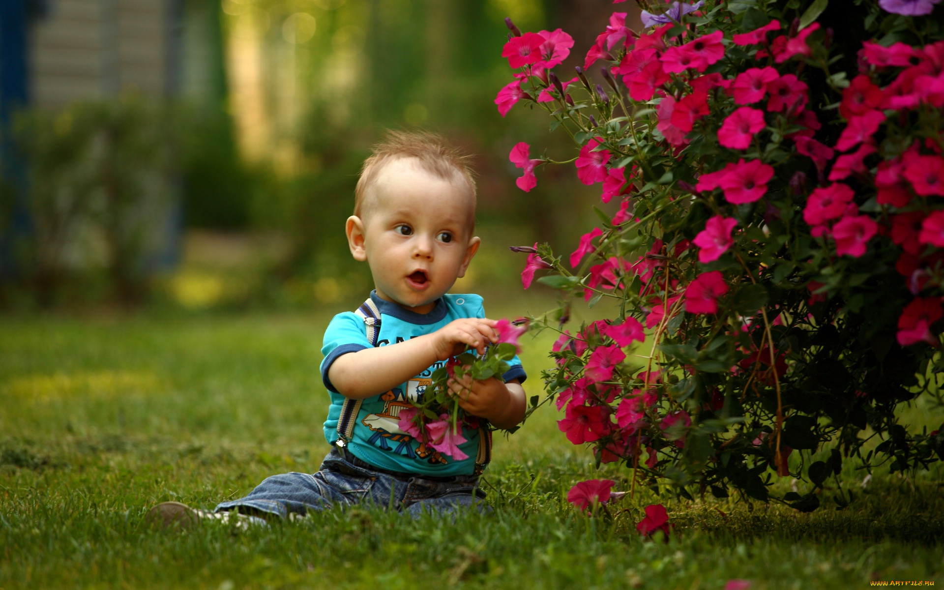 разное, дети, мальчик, трава, цветы