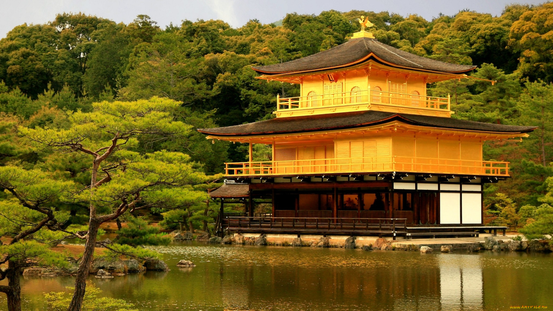 золотой, храм, Япония, города, буддистские, другие, храмы
