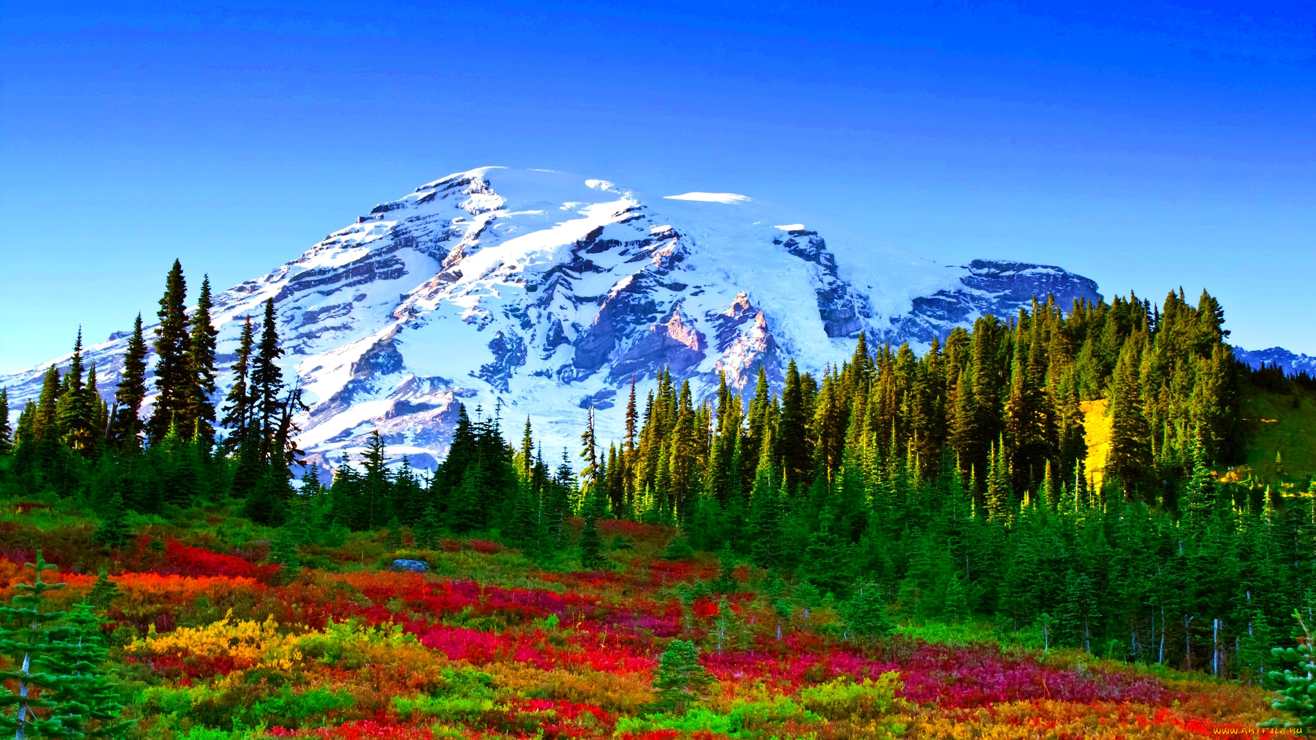color, carpet, природа, пейзажи, снега, лес, краски, горы