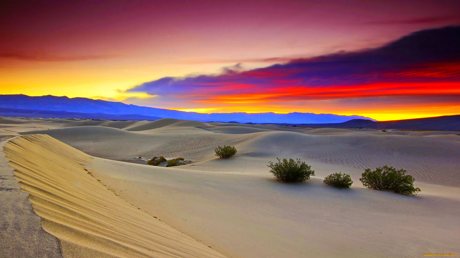 desert, at, dusk, природа, пустыни, пустыня, песок, трава, краски, барханы