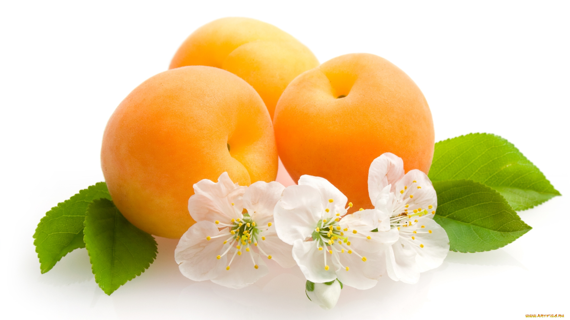 еда, персики, сливы, абрикосы, цветы