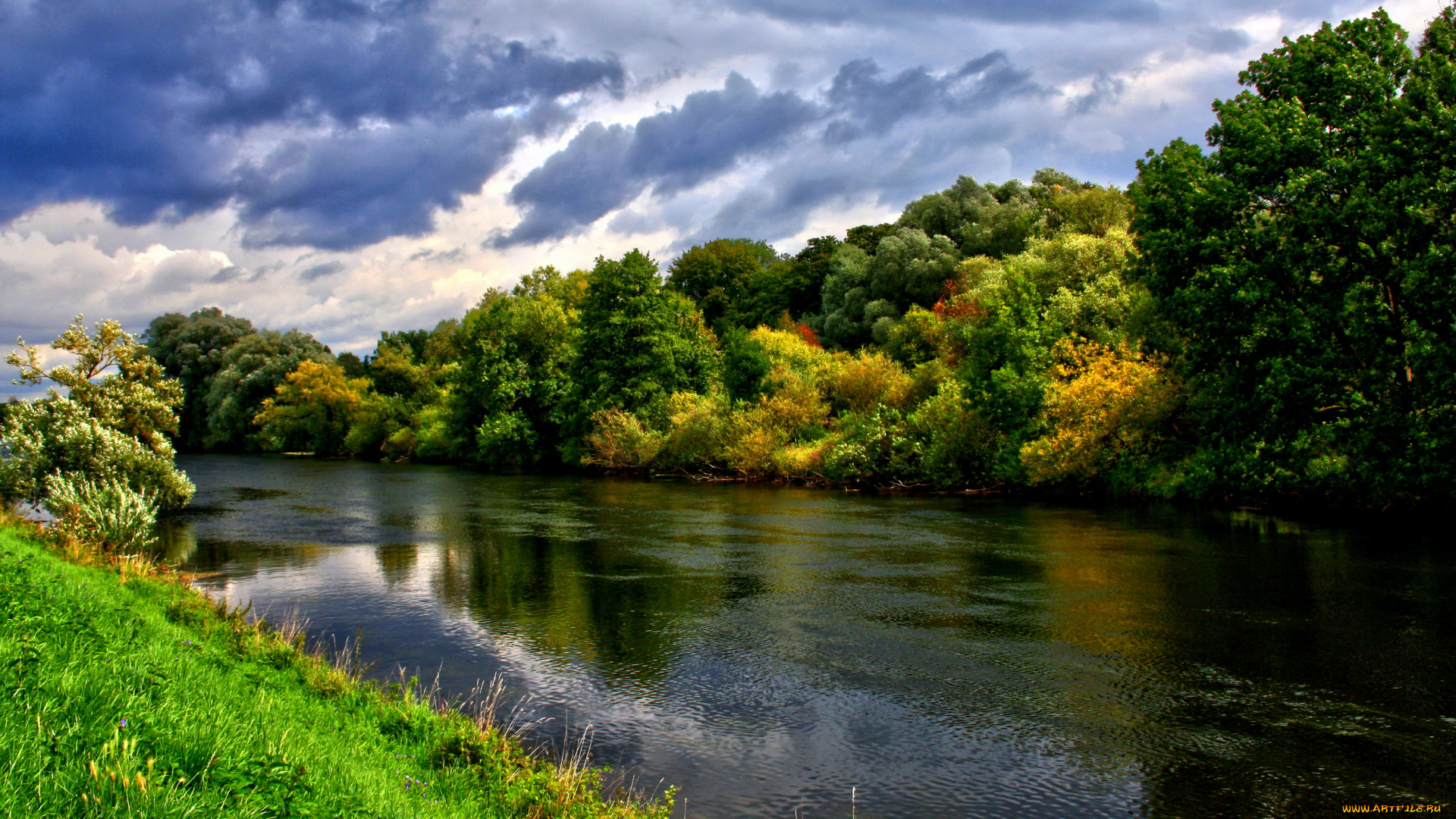 германия, ульм, природа, реки, озера, река, лес, берег