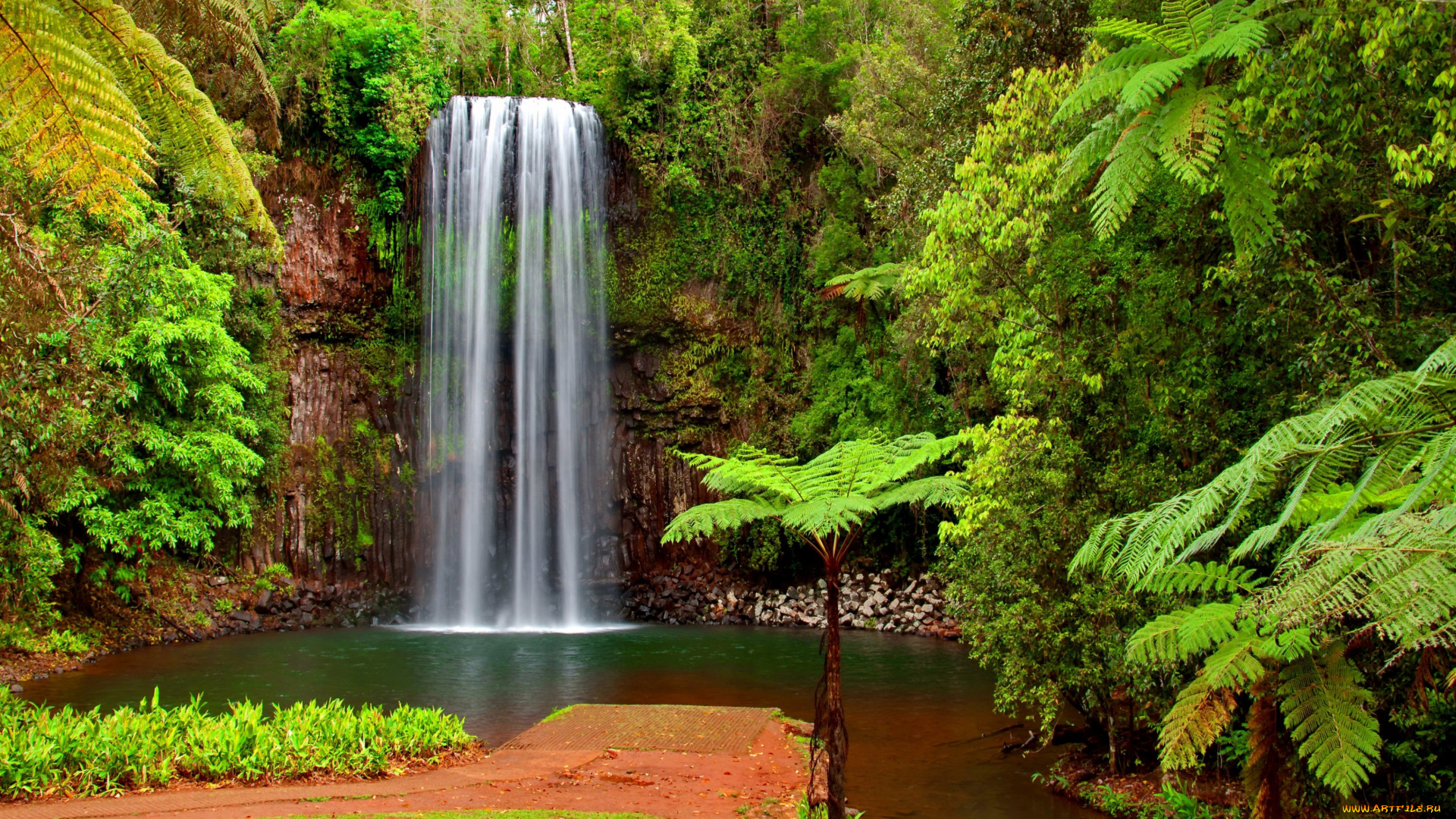 hidden, paradise, природа, водопады, тропики, пальмы, водопад