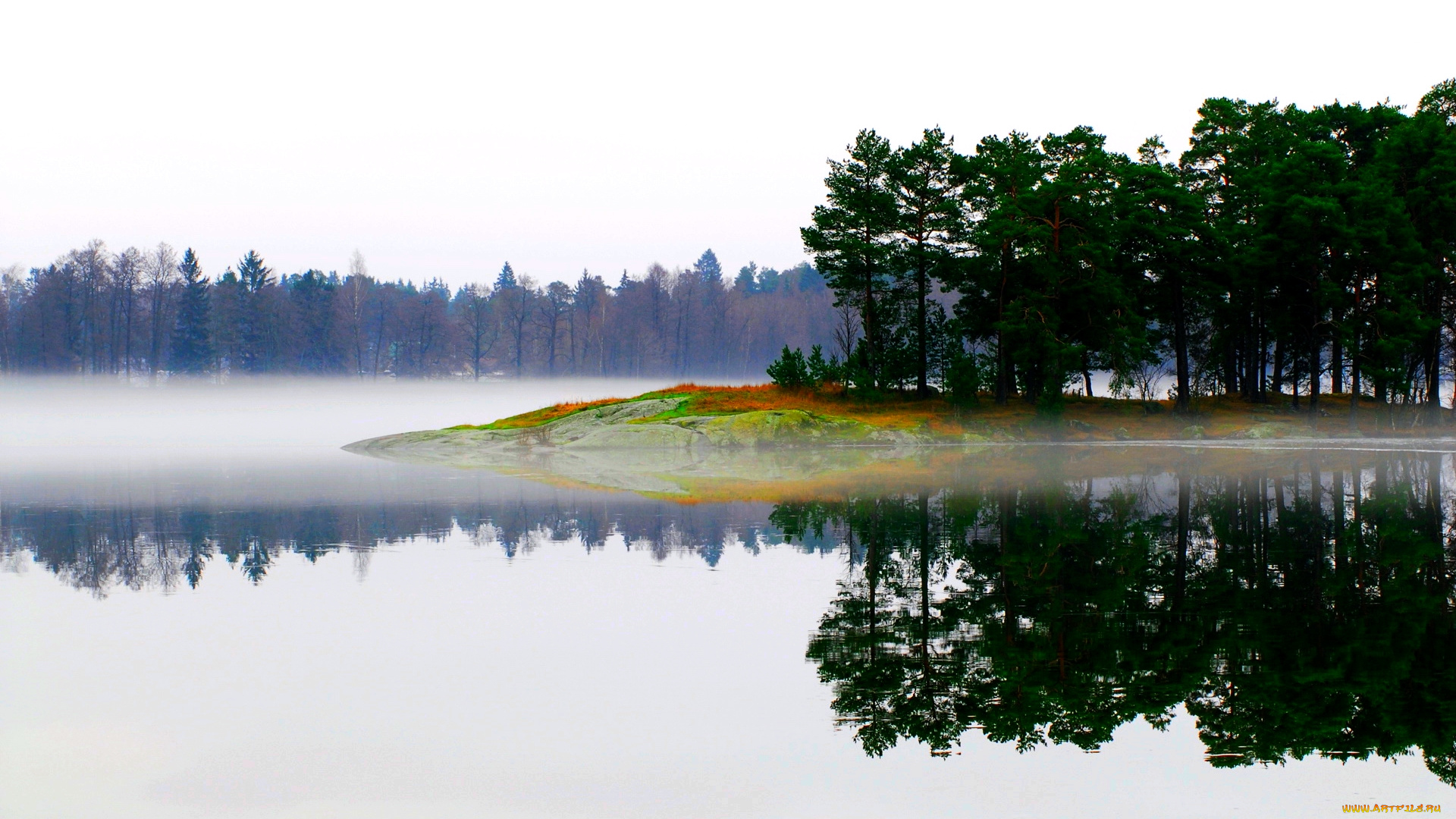 lake, in, fog, природа, реки, озера, лес, туман, озеро