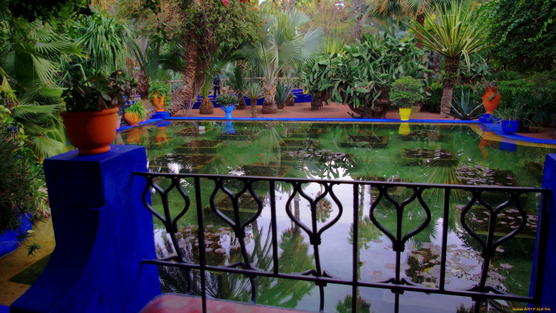 morocco, marrakech, jardin, majorelle, природа, парк, сад, император