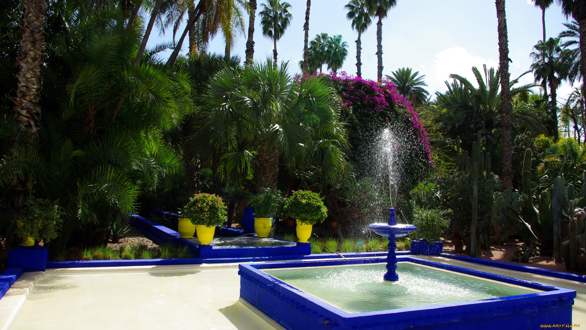 morocco, marrakech, jardin, majorelle, природа, парк, фонтан, пальмы, кактусы