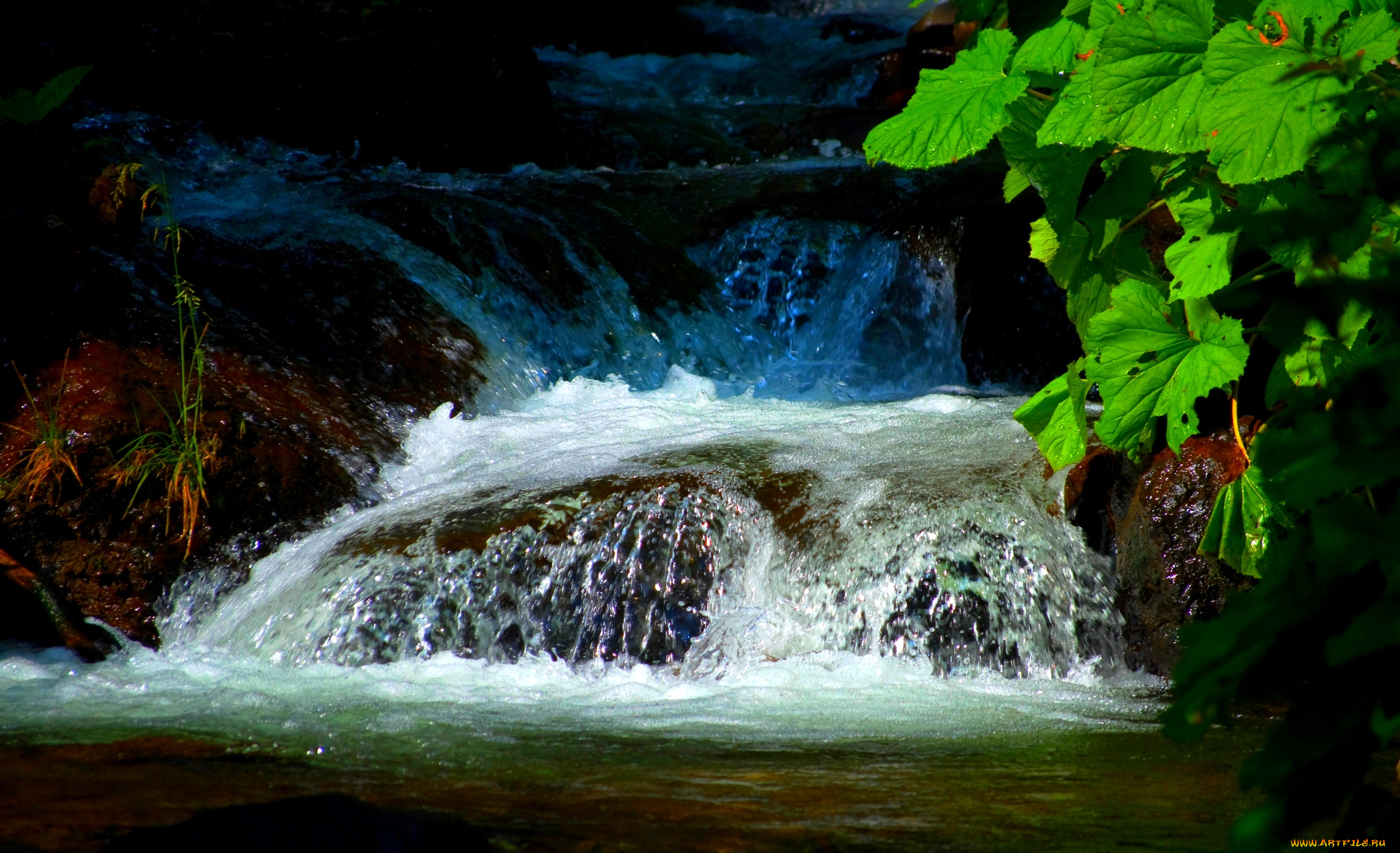 hidden, waterfalls, природа, водопады, ветки, водопад, река