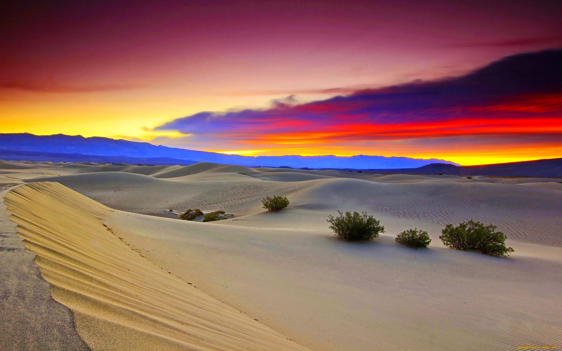 desert, at, dusk, природа, пустыни, пустыня, песок, трава, краски, барханы