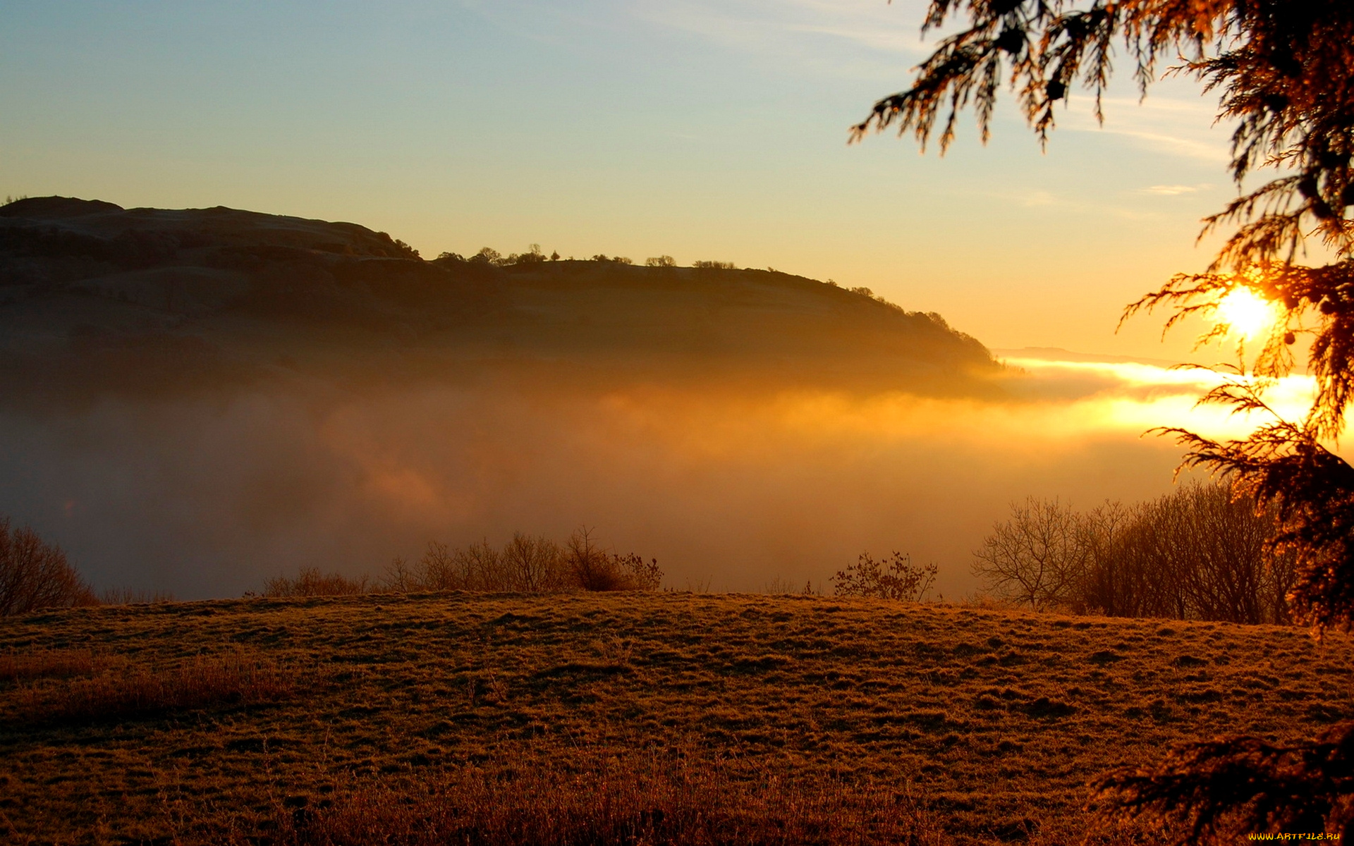 foggy, sunrise, природа, восходы, закаты