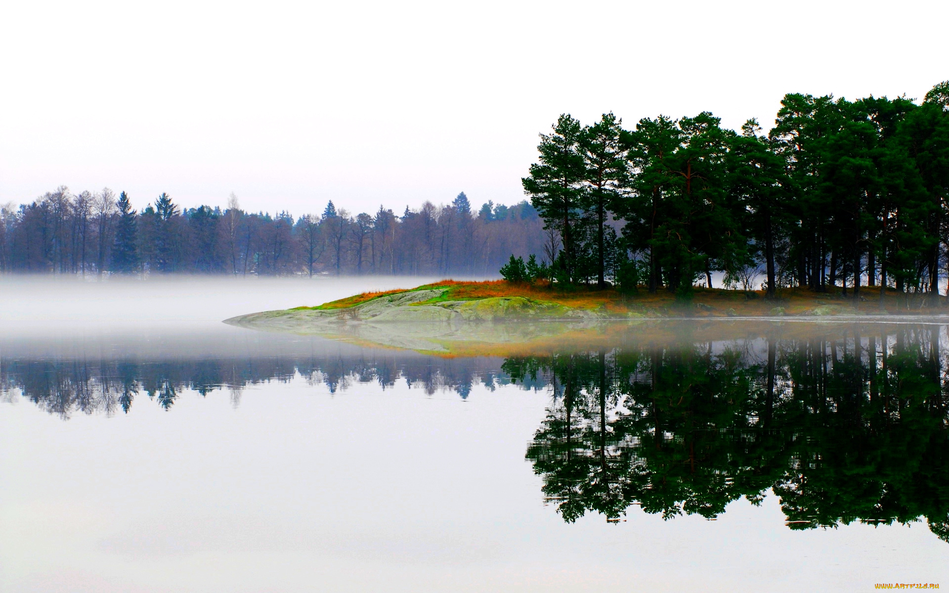 lake, in, fog, природа, реки, озера, лес, туман, озеро