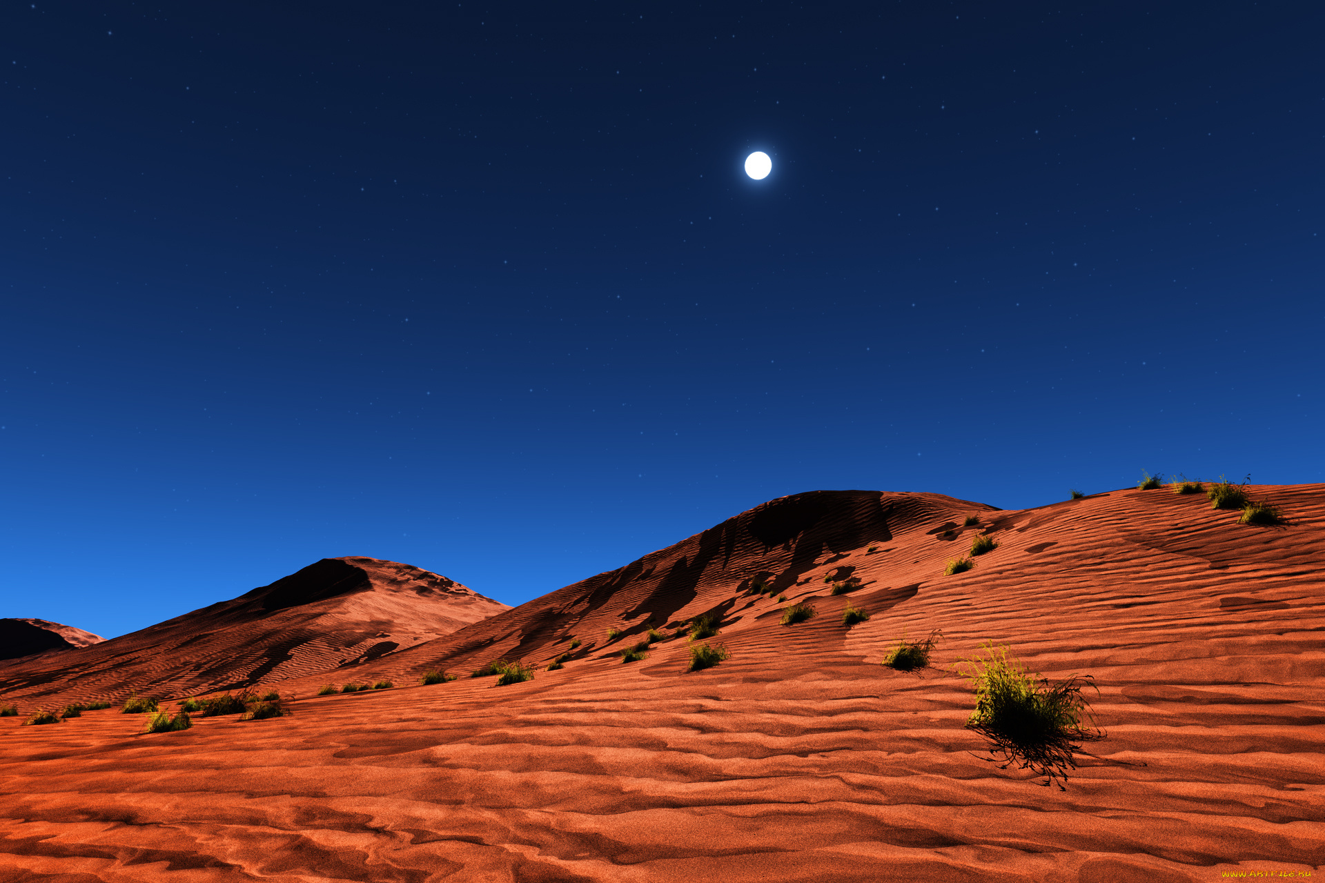 the, desert, природа, пустыни, песок, пустыня, дюны, трава