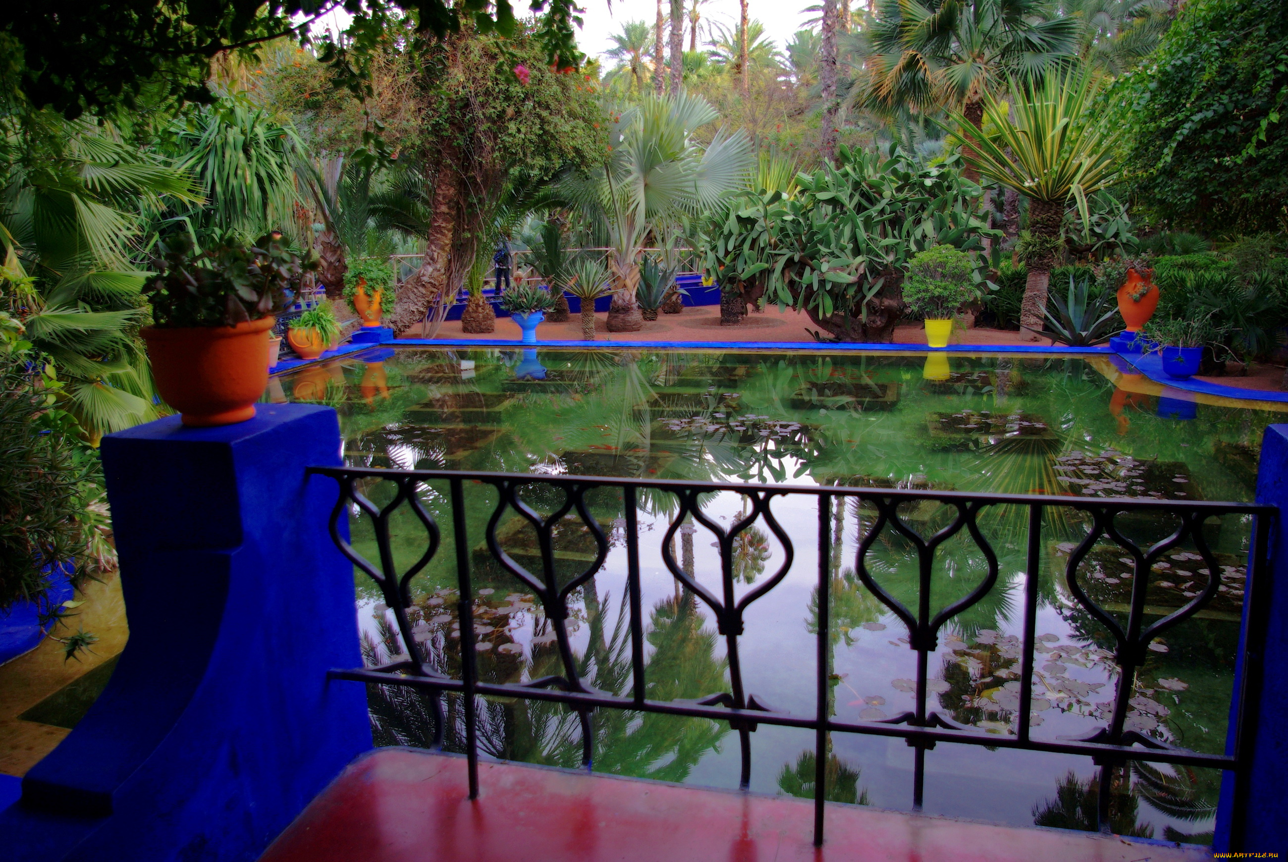 morocco, marrakech, jardin, majorelle, природа, парк, сад, император