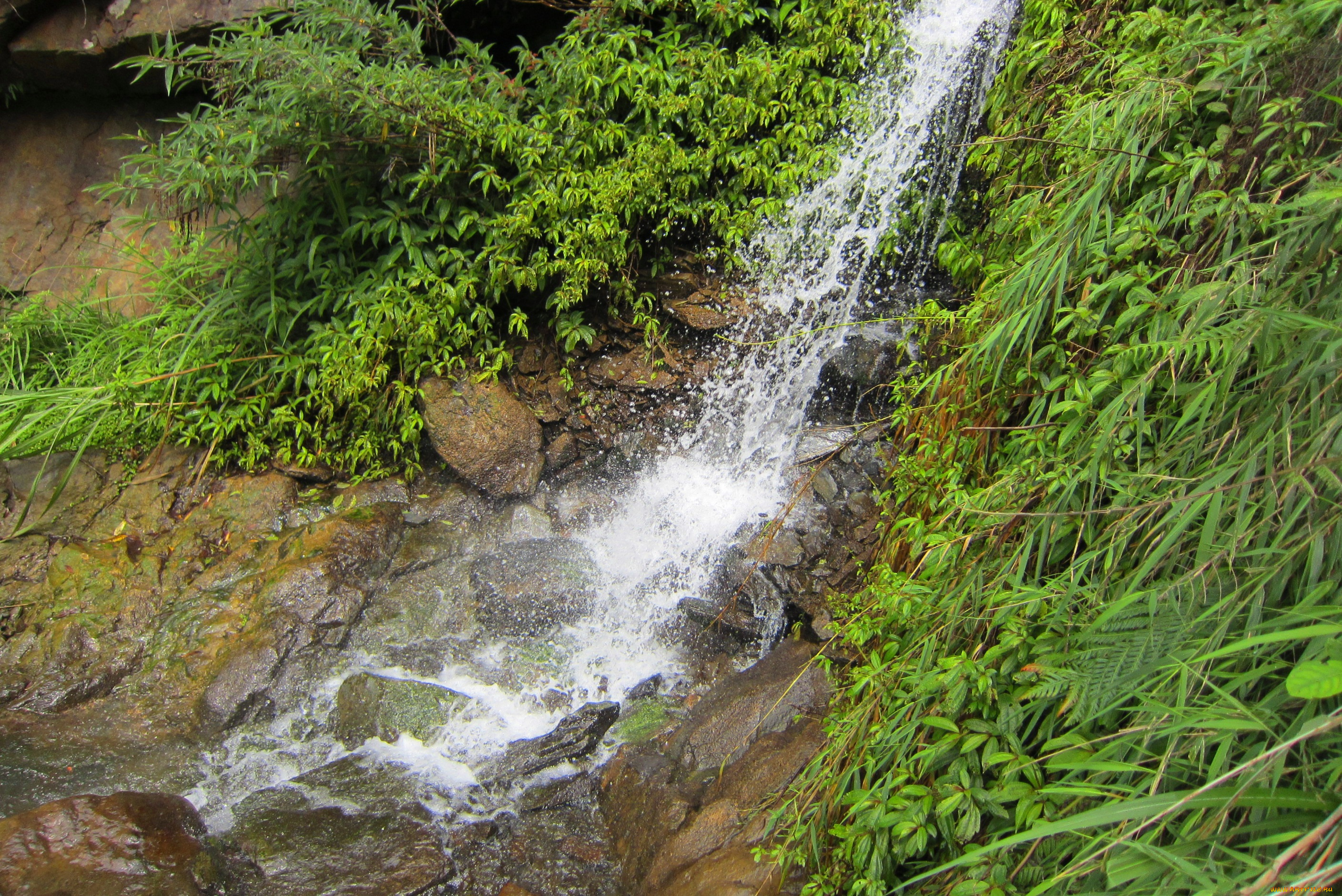 waterfalls, природа, водопады, растительность, камни, водопад
