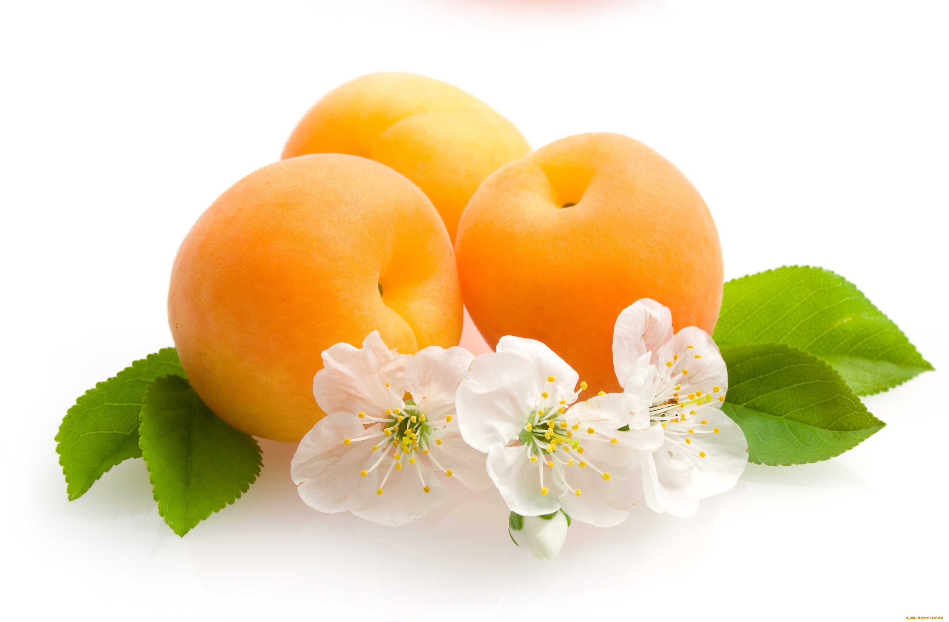 еда, персики, сливы, абрикосы, цветы
