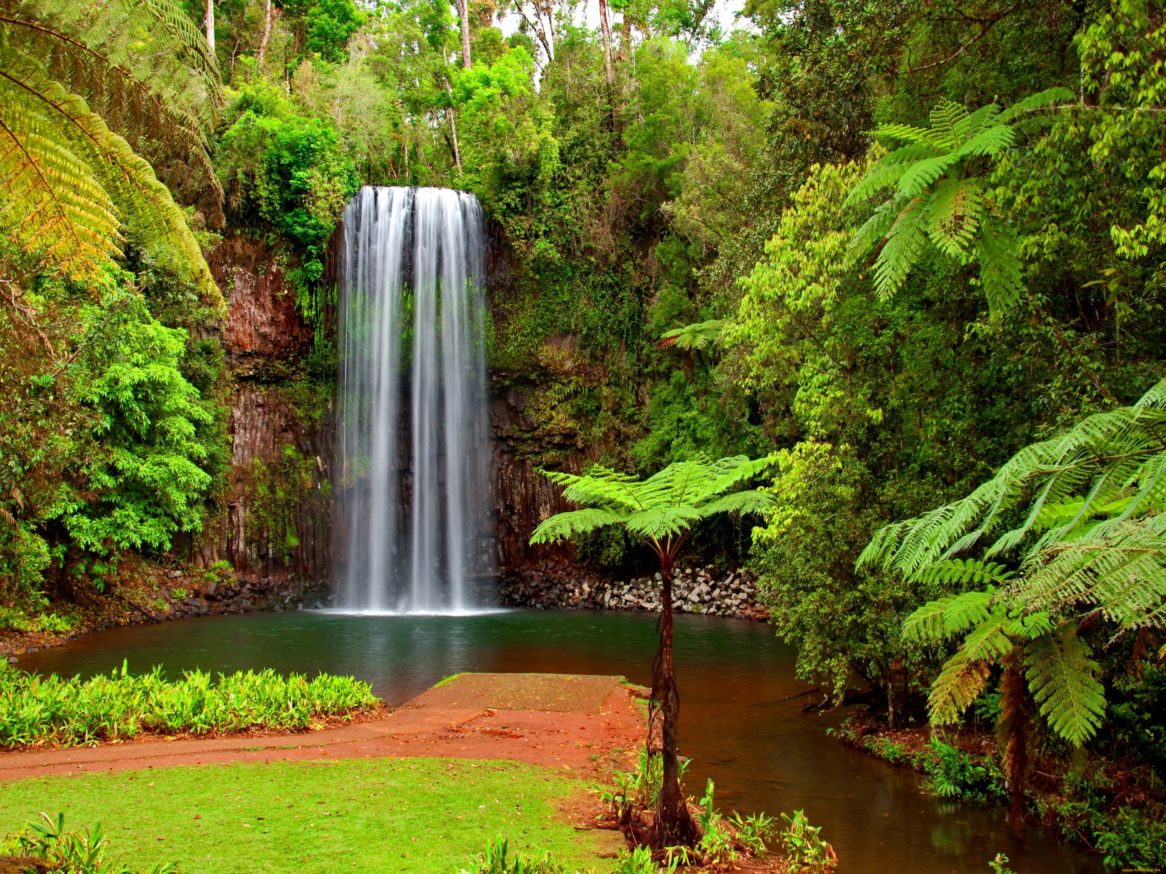 hidden, paradise, природа, водопады, тропики, пальмы, водопад