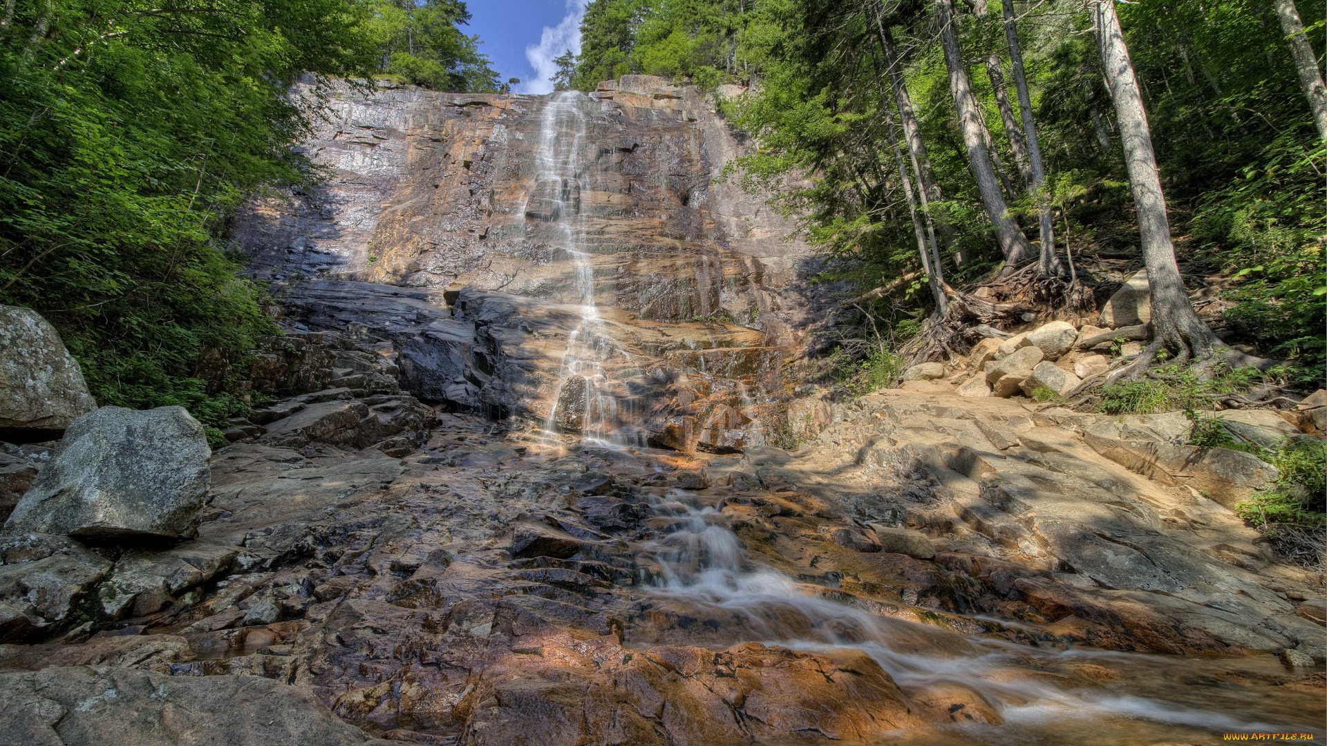 arethusa, falls, california, природа, водопады, обрыв, лес, водопад