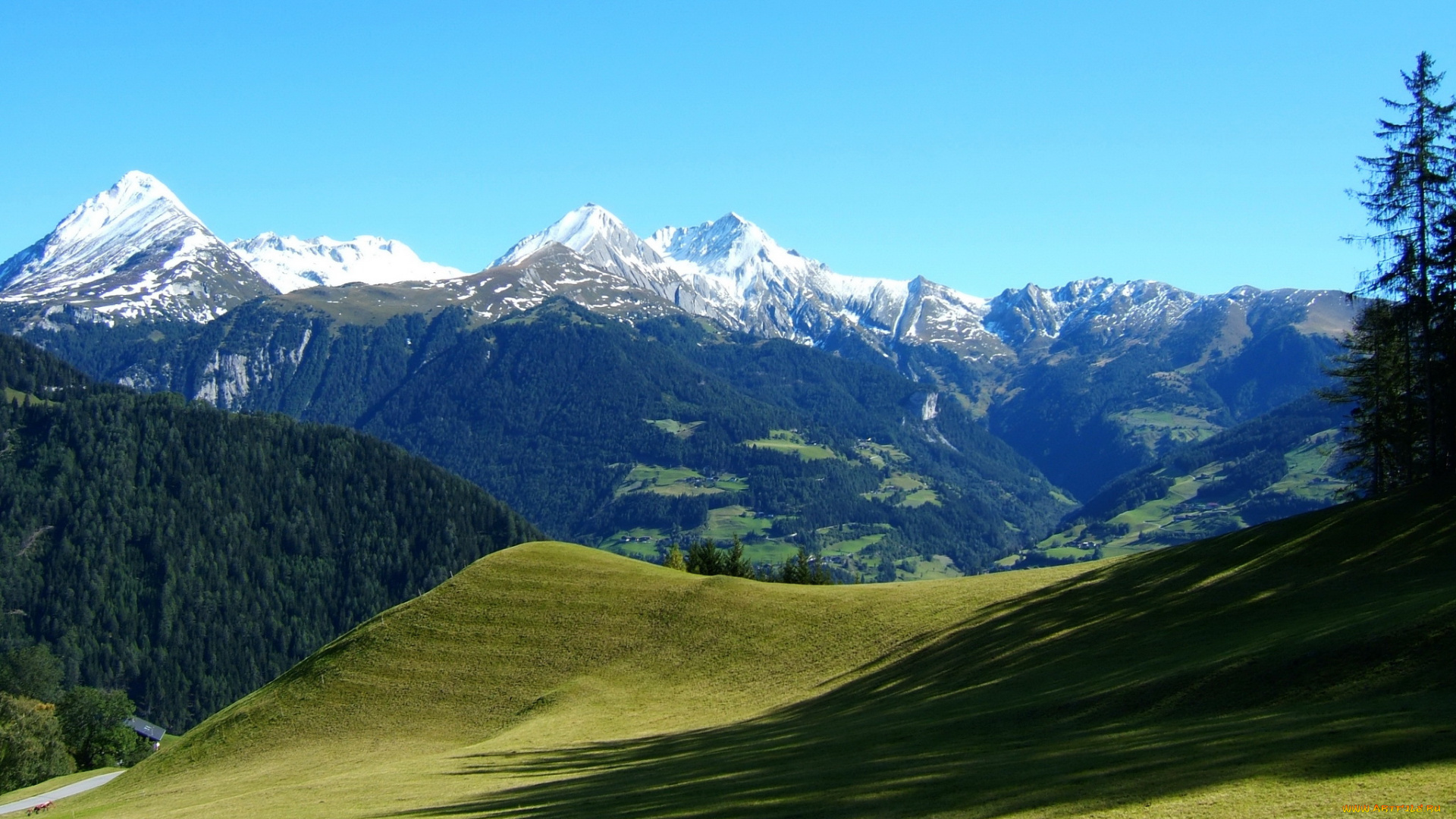 австрийские, альпы, природа, горы, деревья